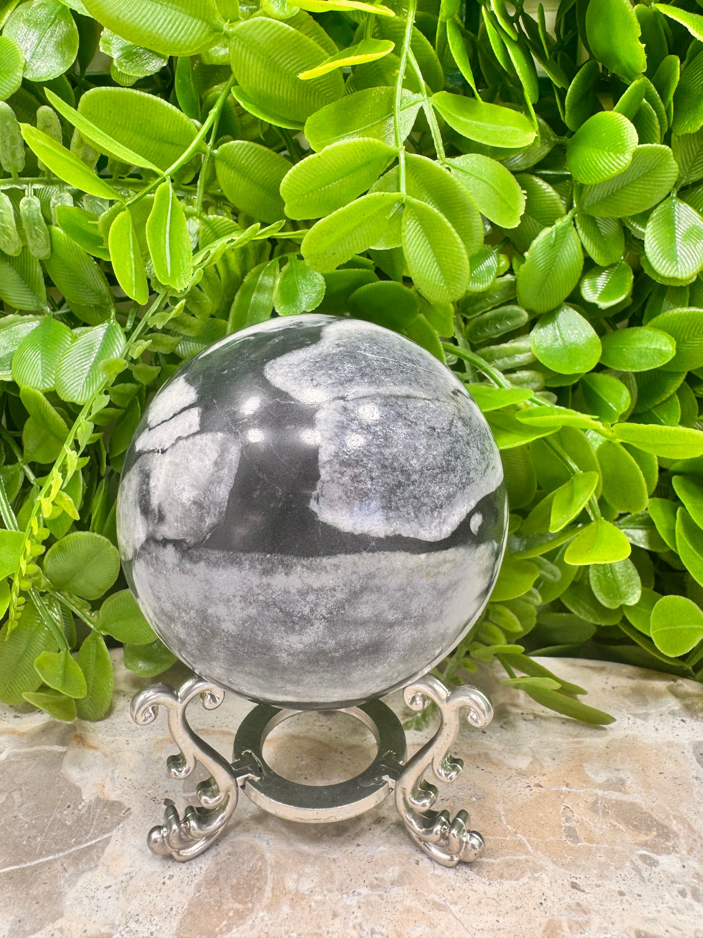 Shell Jasper Sphere 714g