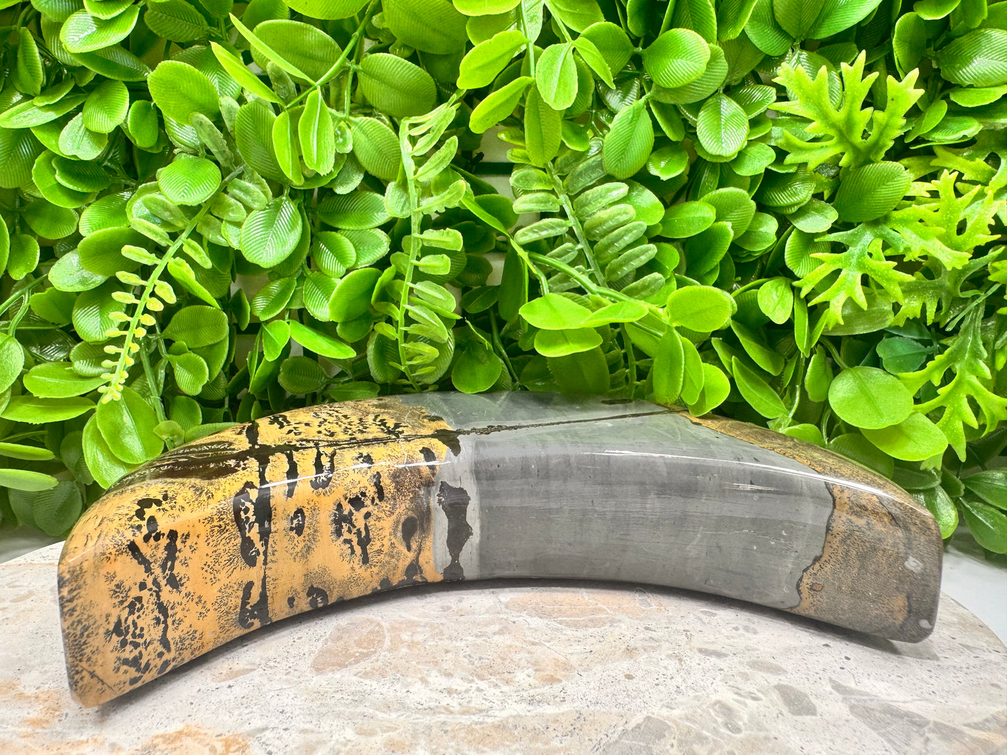 Picture Jasper Moon 1336g