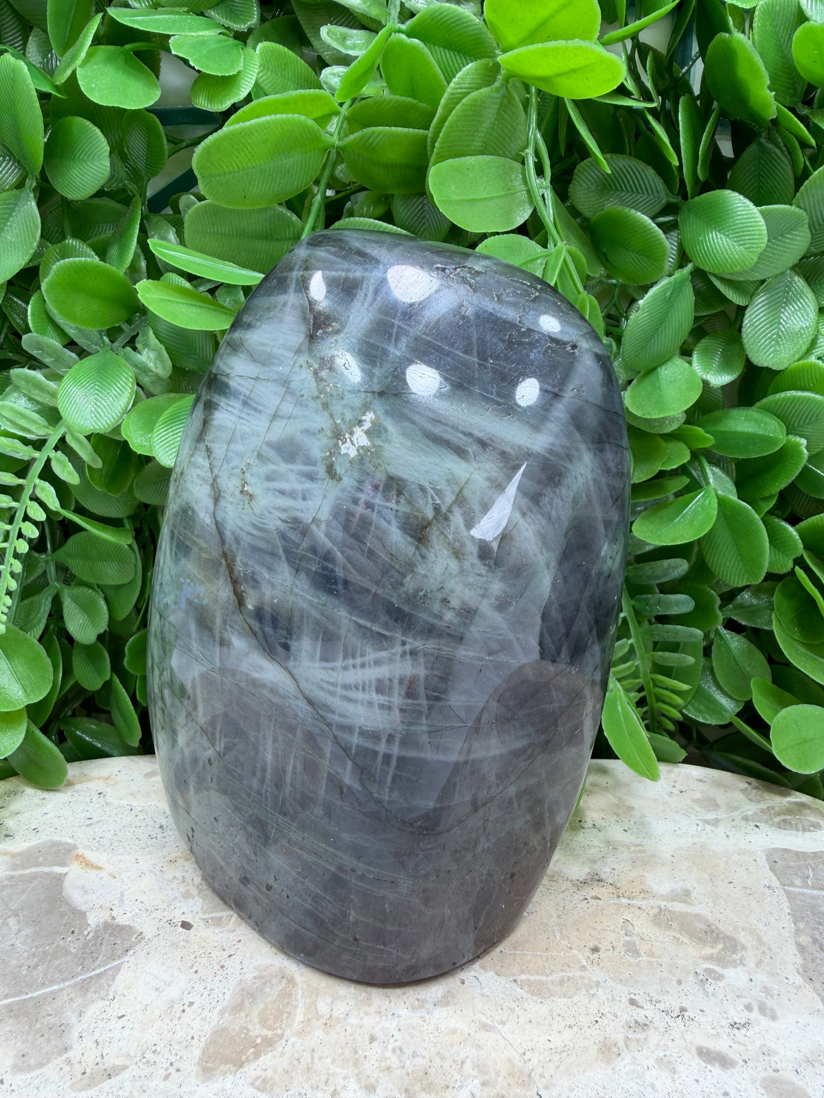 Labradorite Freeform | Protection • Intuition • Transformation