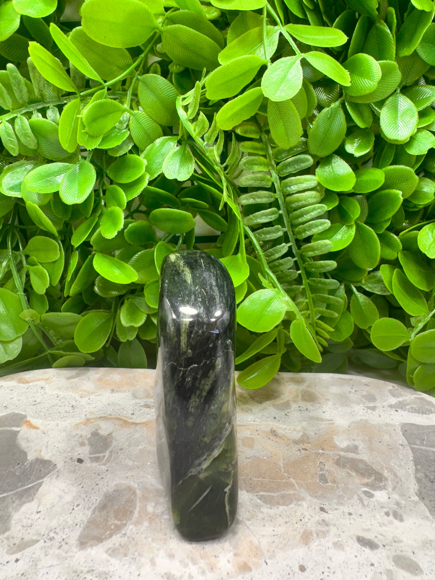 Nephrite Jade Freeform 256g