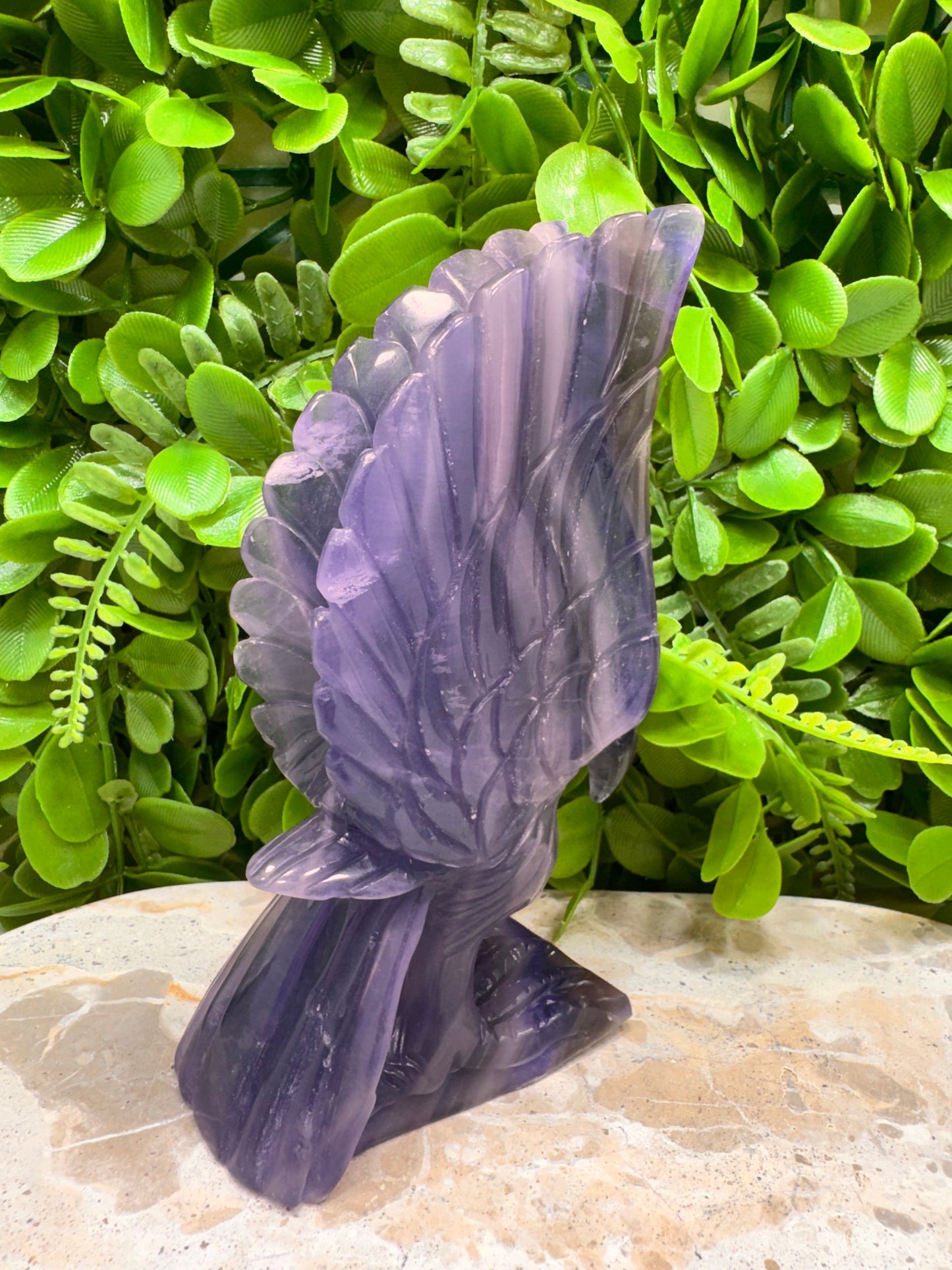 Fluorite Eagle 728g