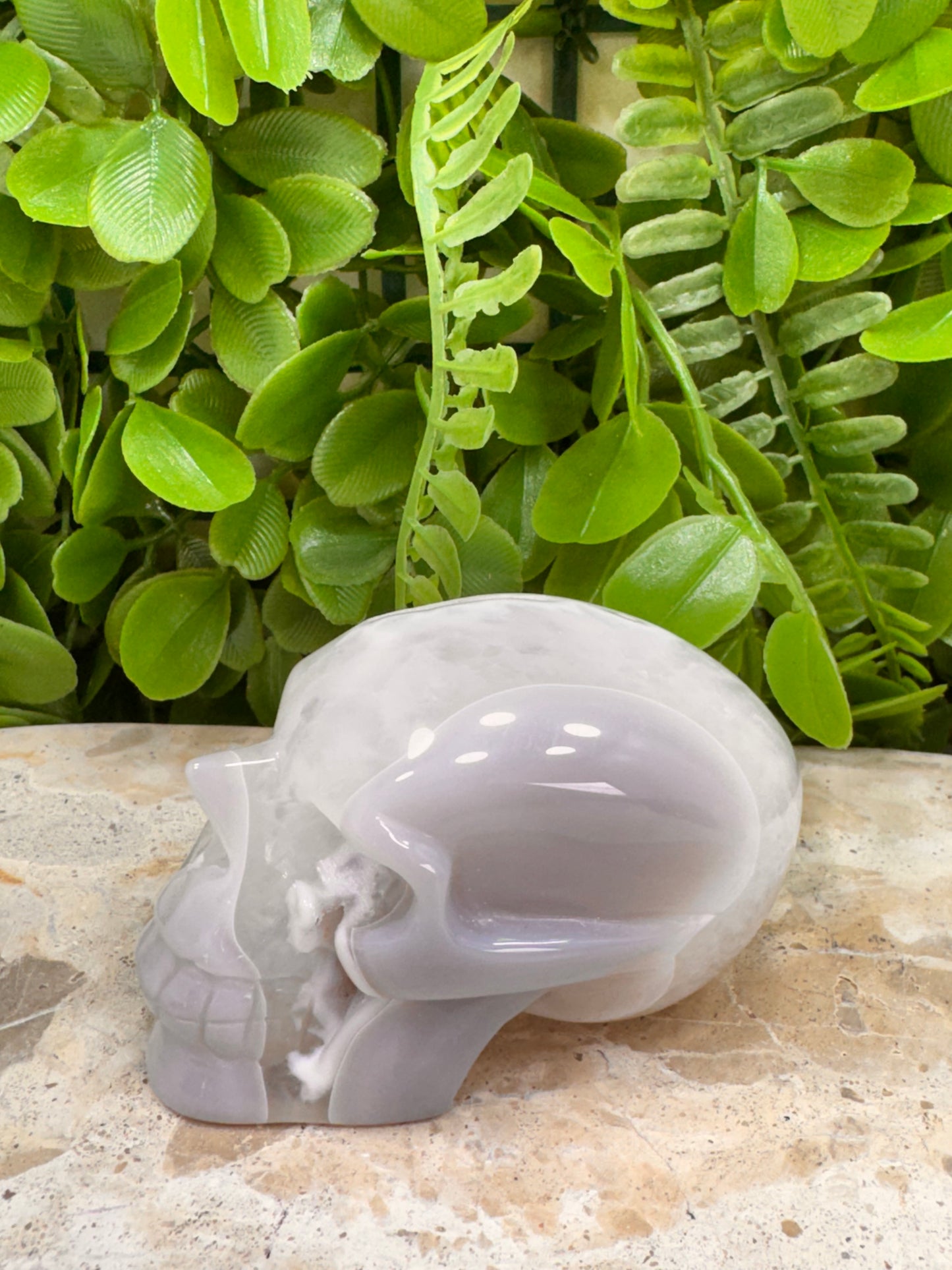 Agate Druzy Skull 266g