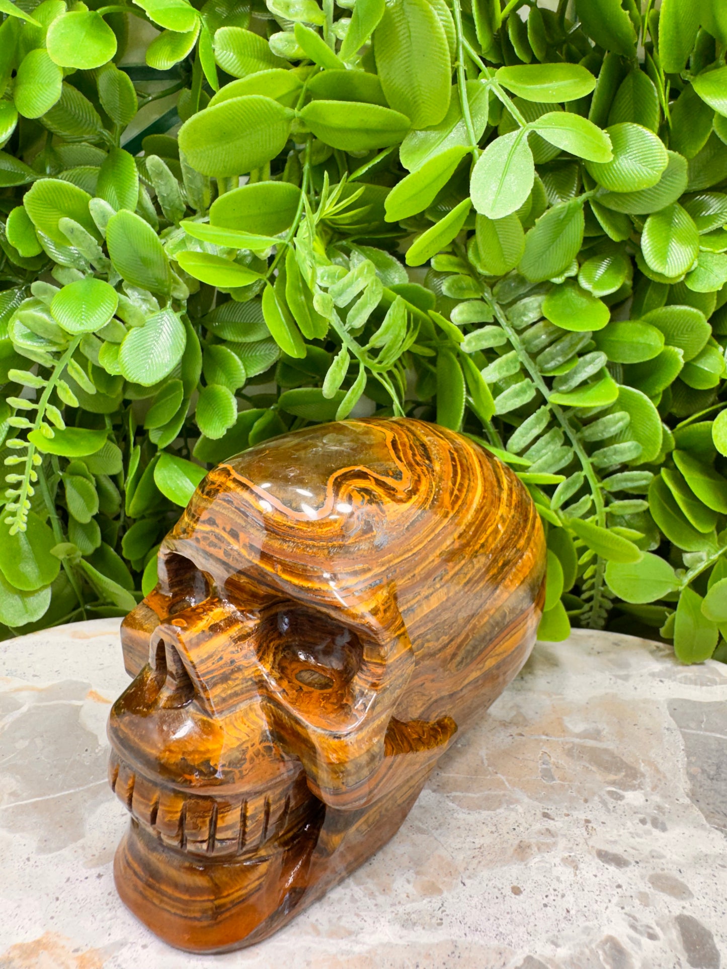 Tiger Ore Skull 1100g