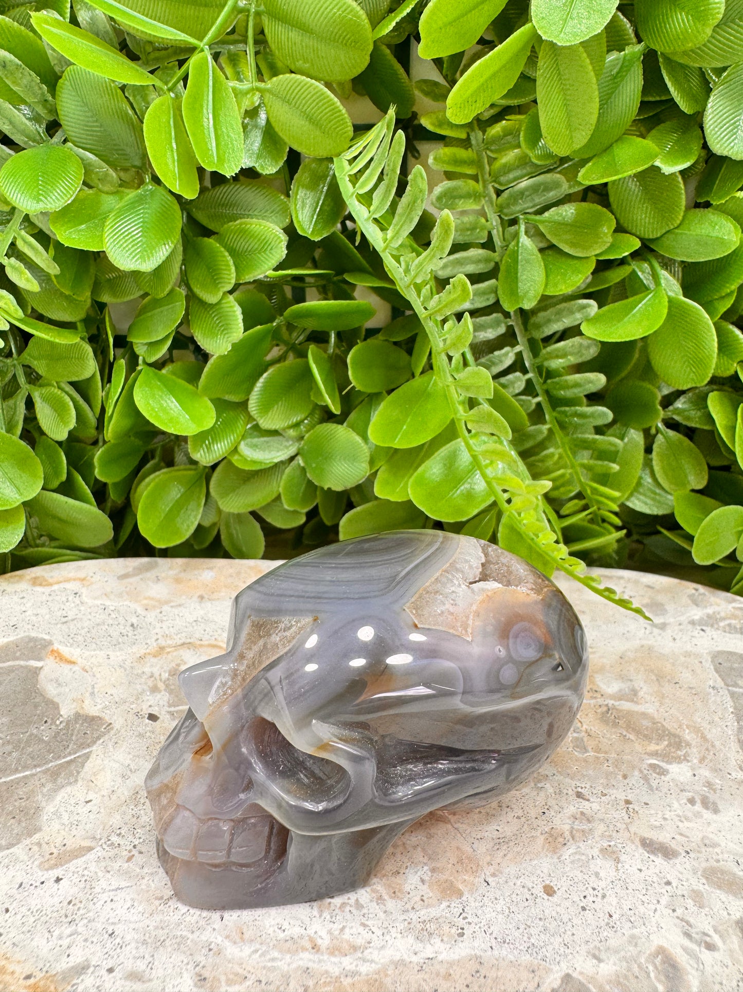 Agate Druzy Skull 262g