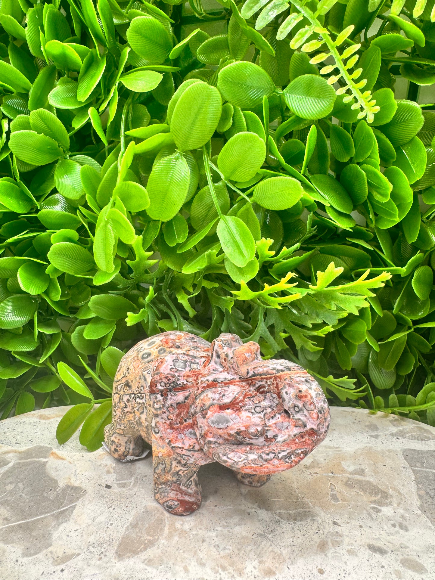 Red Leopard Skin Jasper Elephant 326g