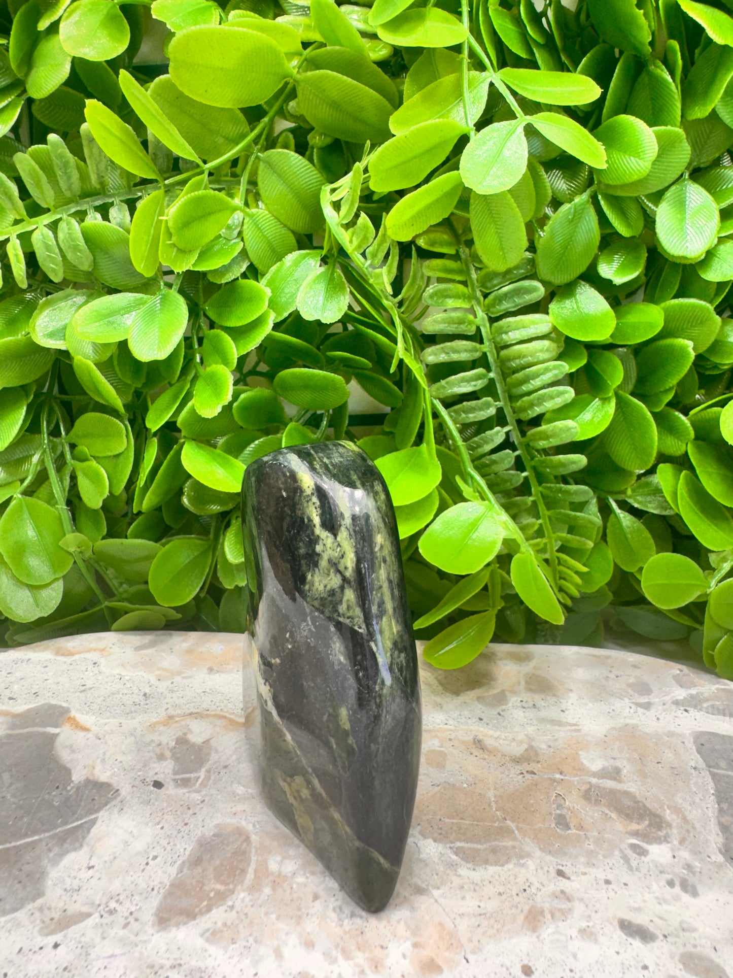 Nephrite Jade Freeform 256g
