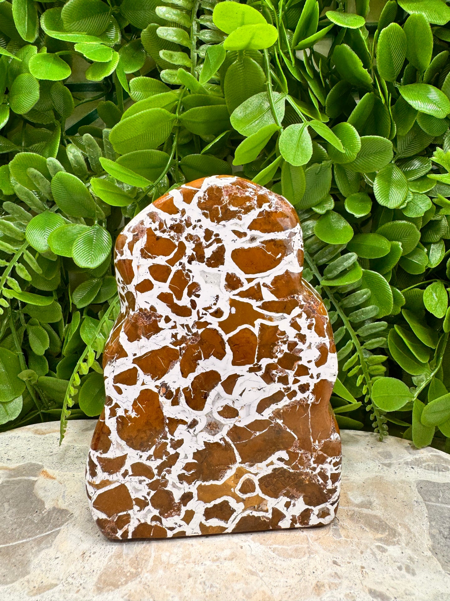 Jasper Agate Freeform 568g