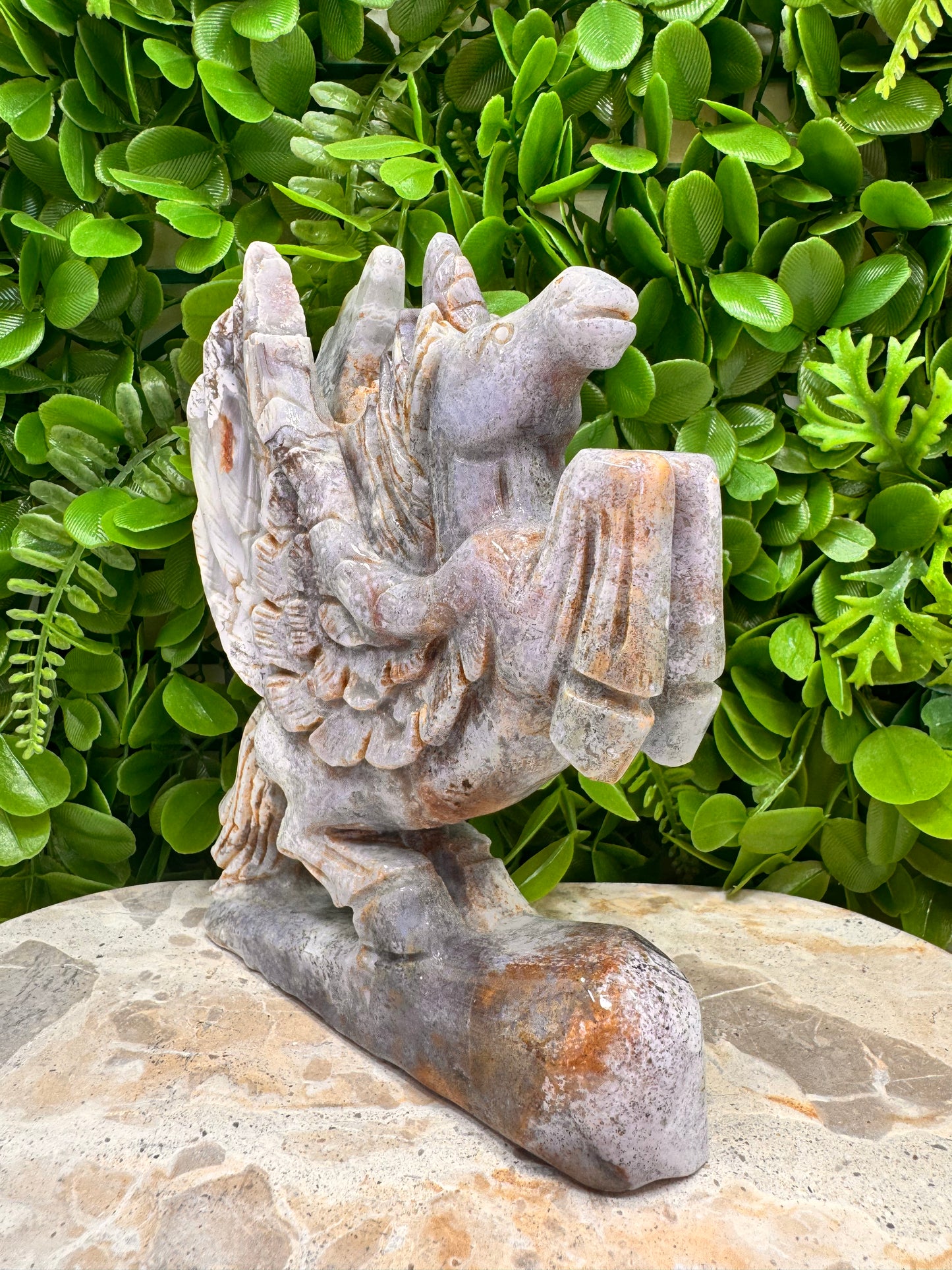 Ocean Jasper Pegasus 1012g