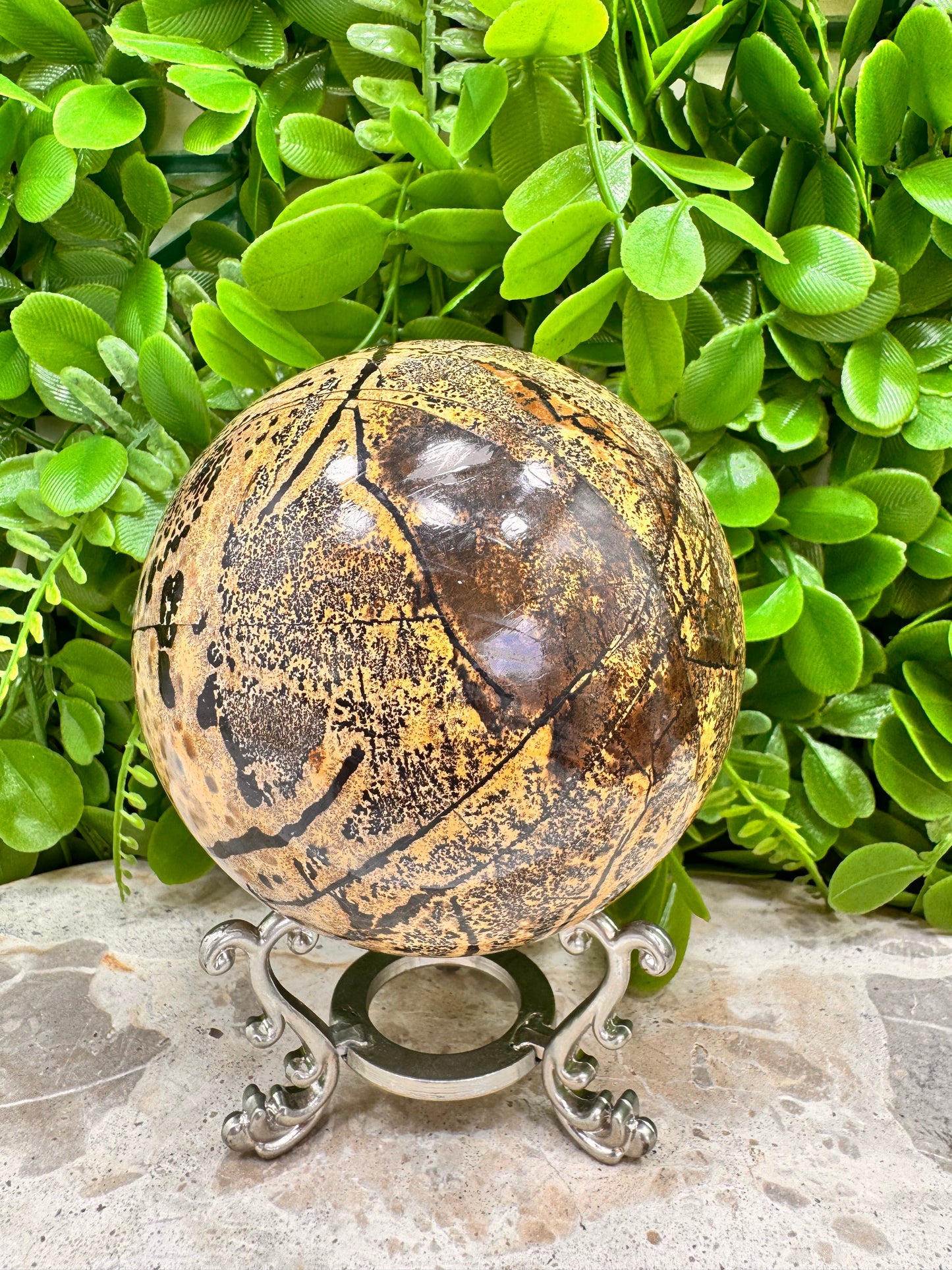 Picture Jasper Sphere 1128g