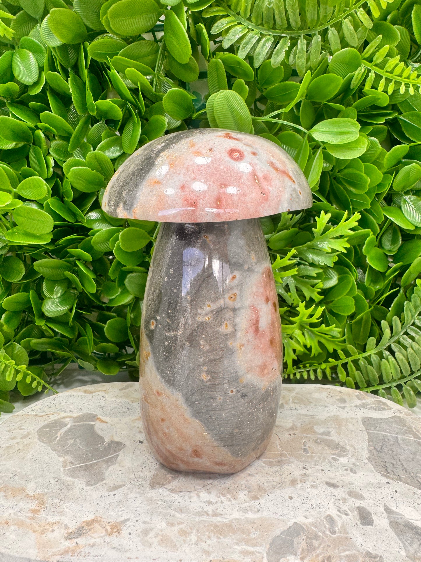 Ocean Jasper Mushroom 1.6kg