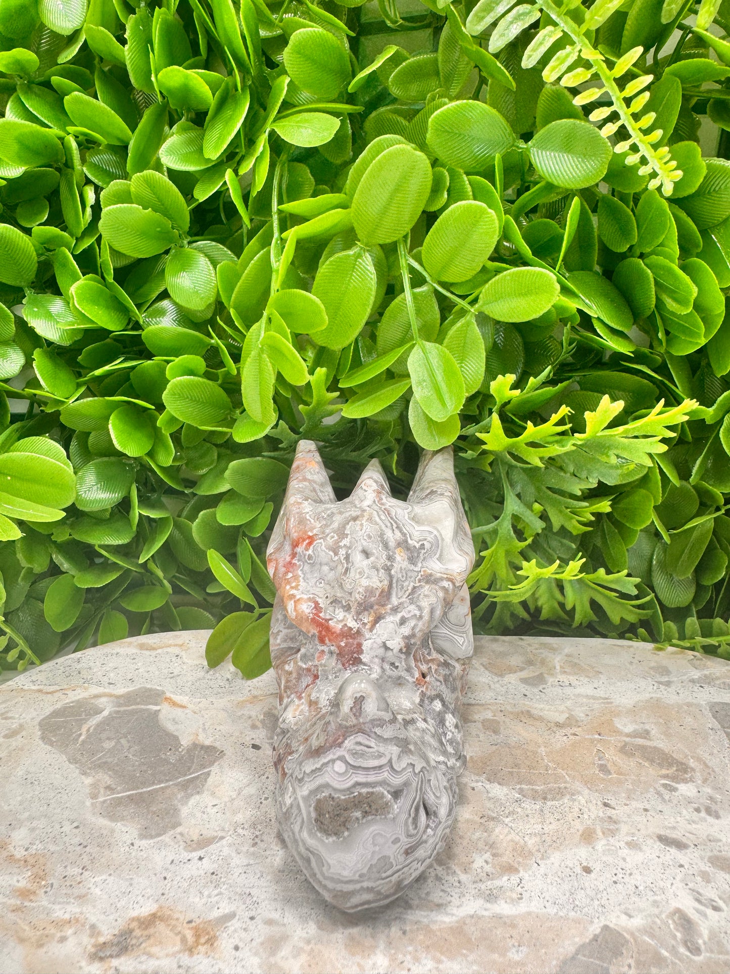 Mexican Agate Druzy Dragon Skull 570g