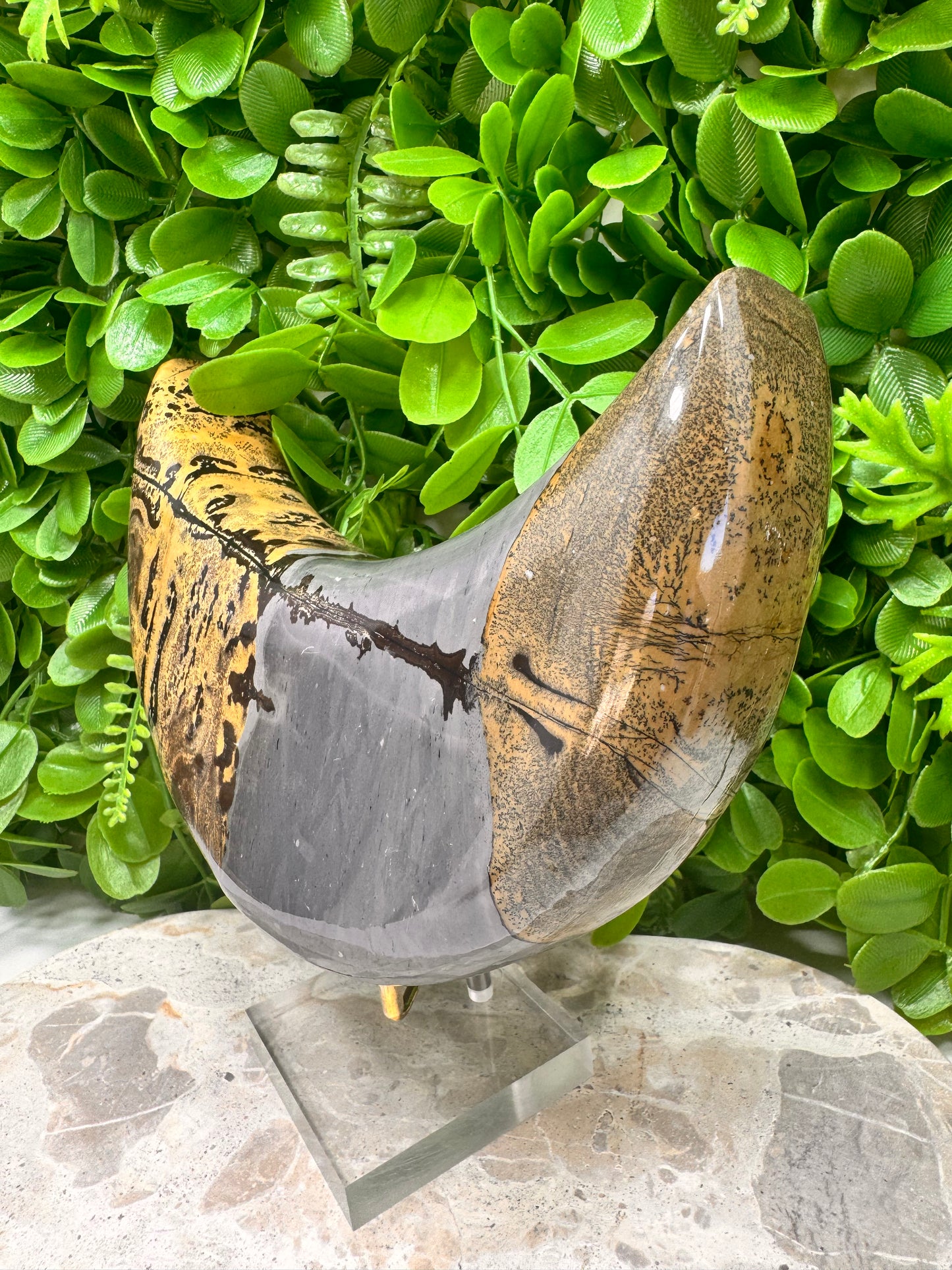 Picture Jasper Moon 1336g