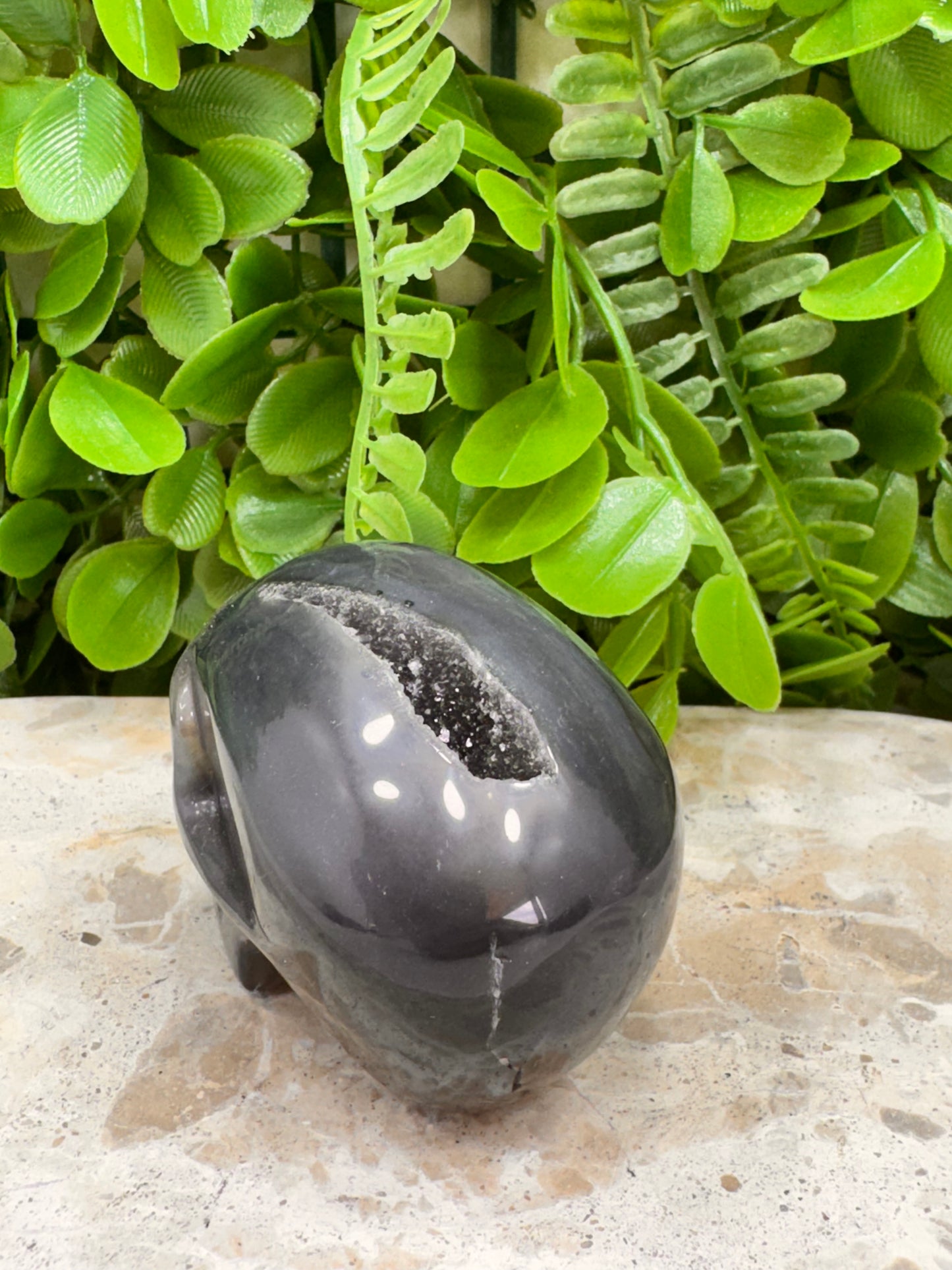Agate Druzy Skull 280g