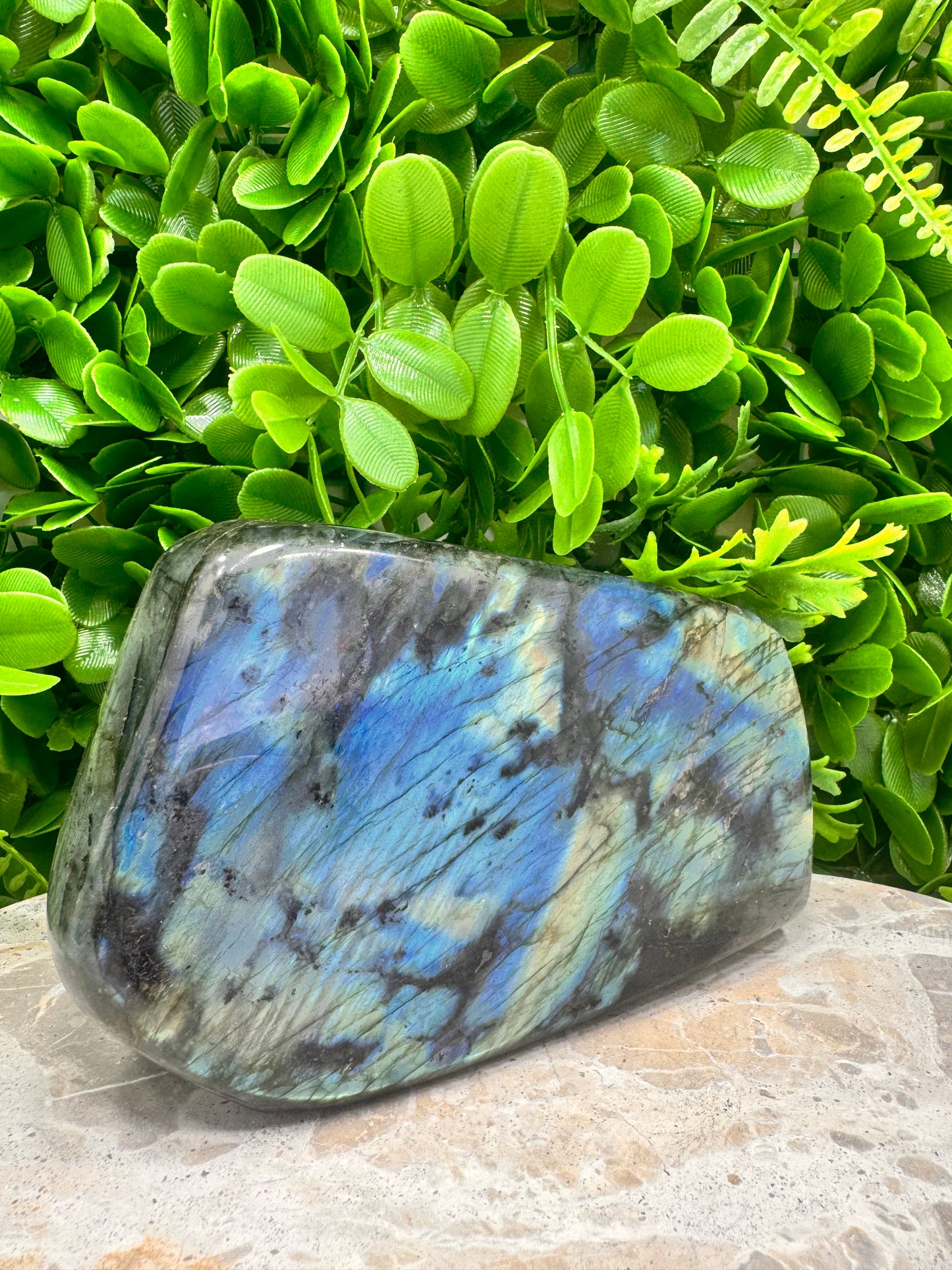 Labradorite Freeform 1446g