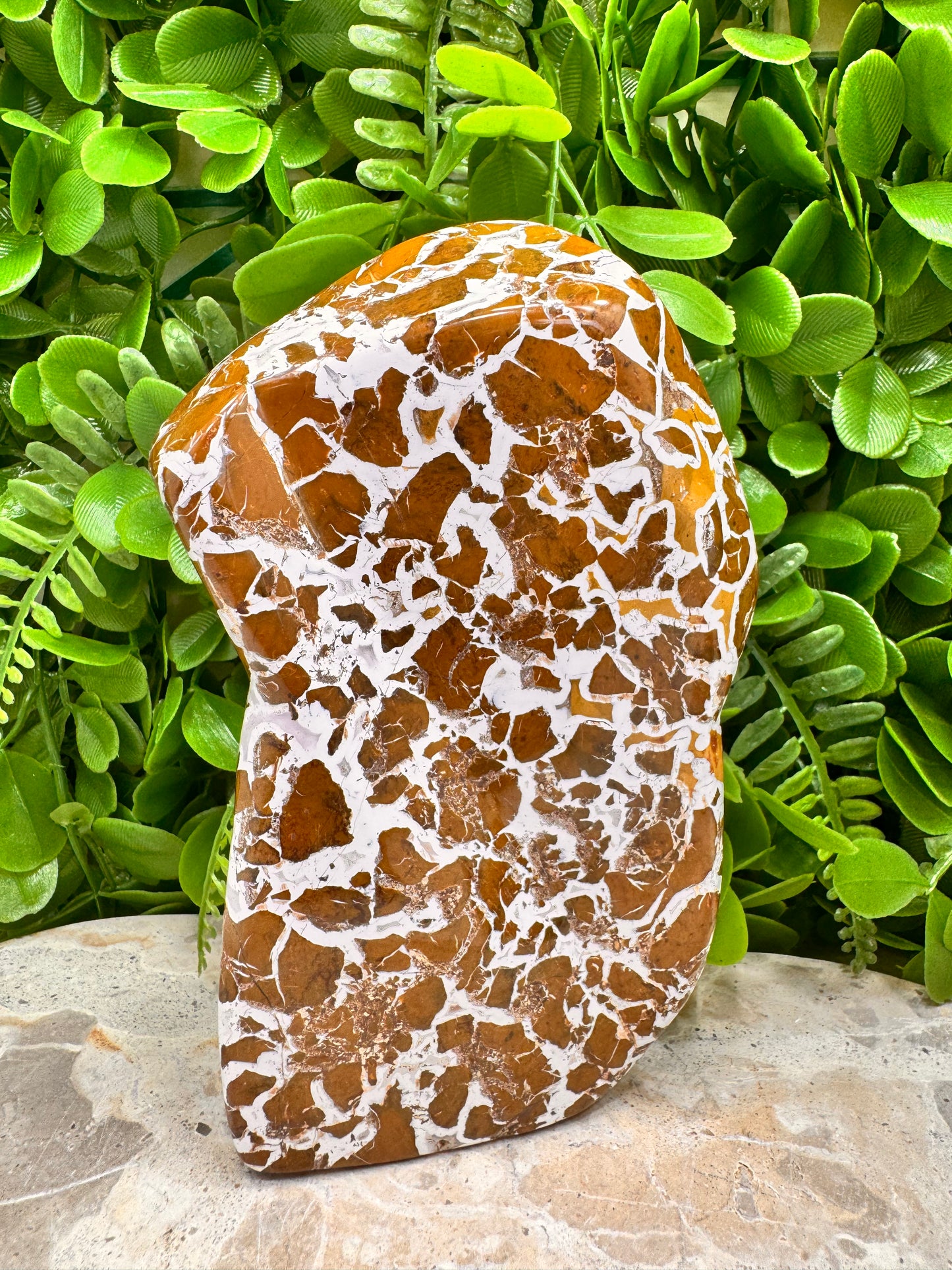 Jasper Agate Freeform 780g