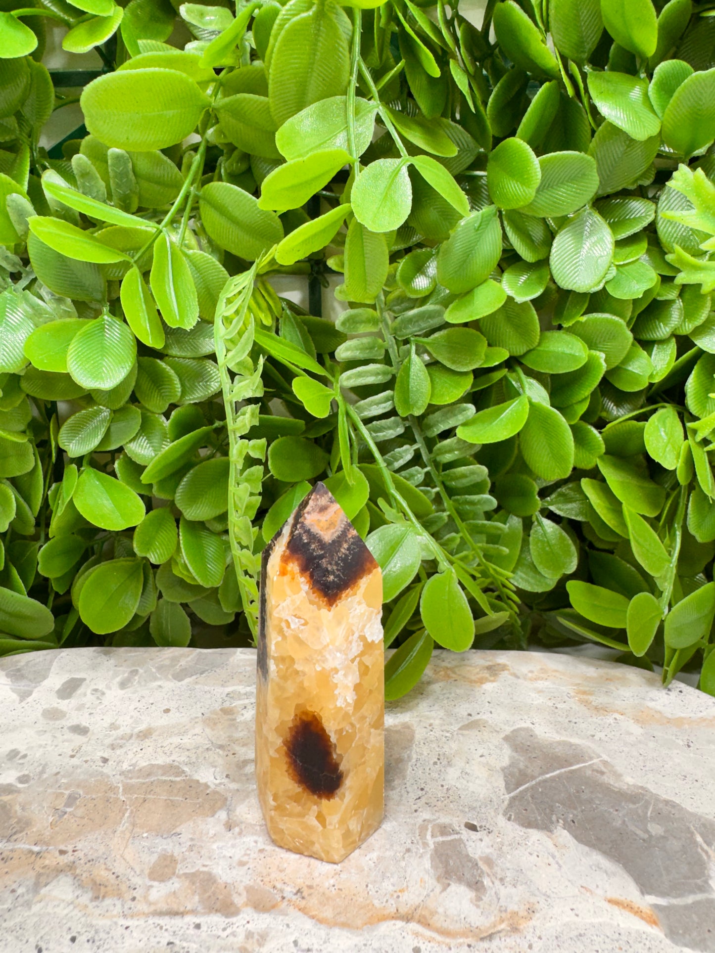 Septarian Dragon Stone Point 88g