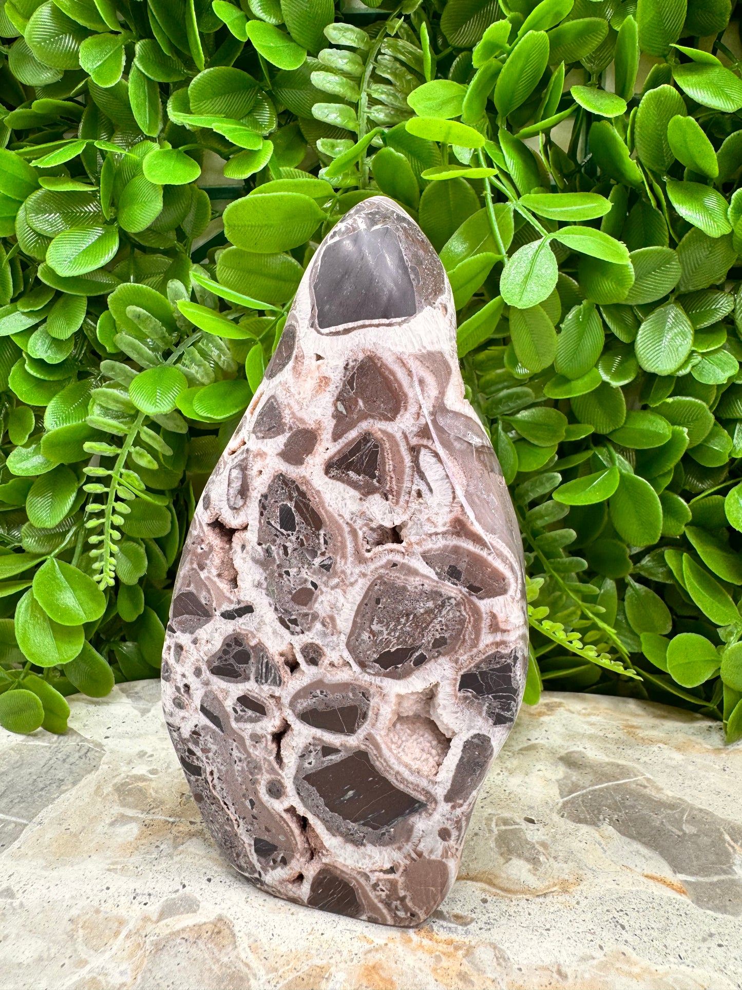 Chocolate Aragonite Freeform 544g