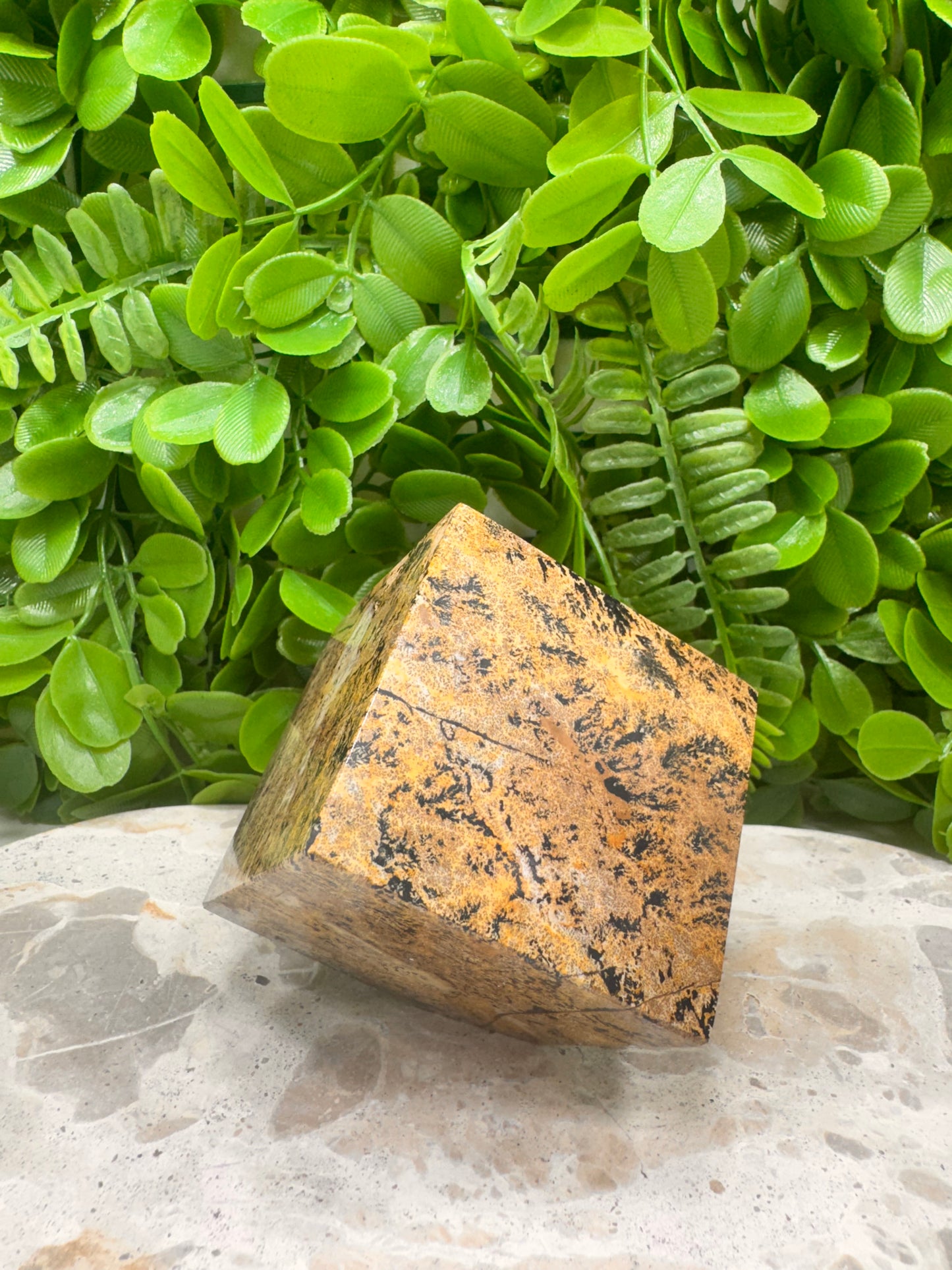 Picture Jasper Cube 546g
