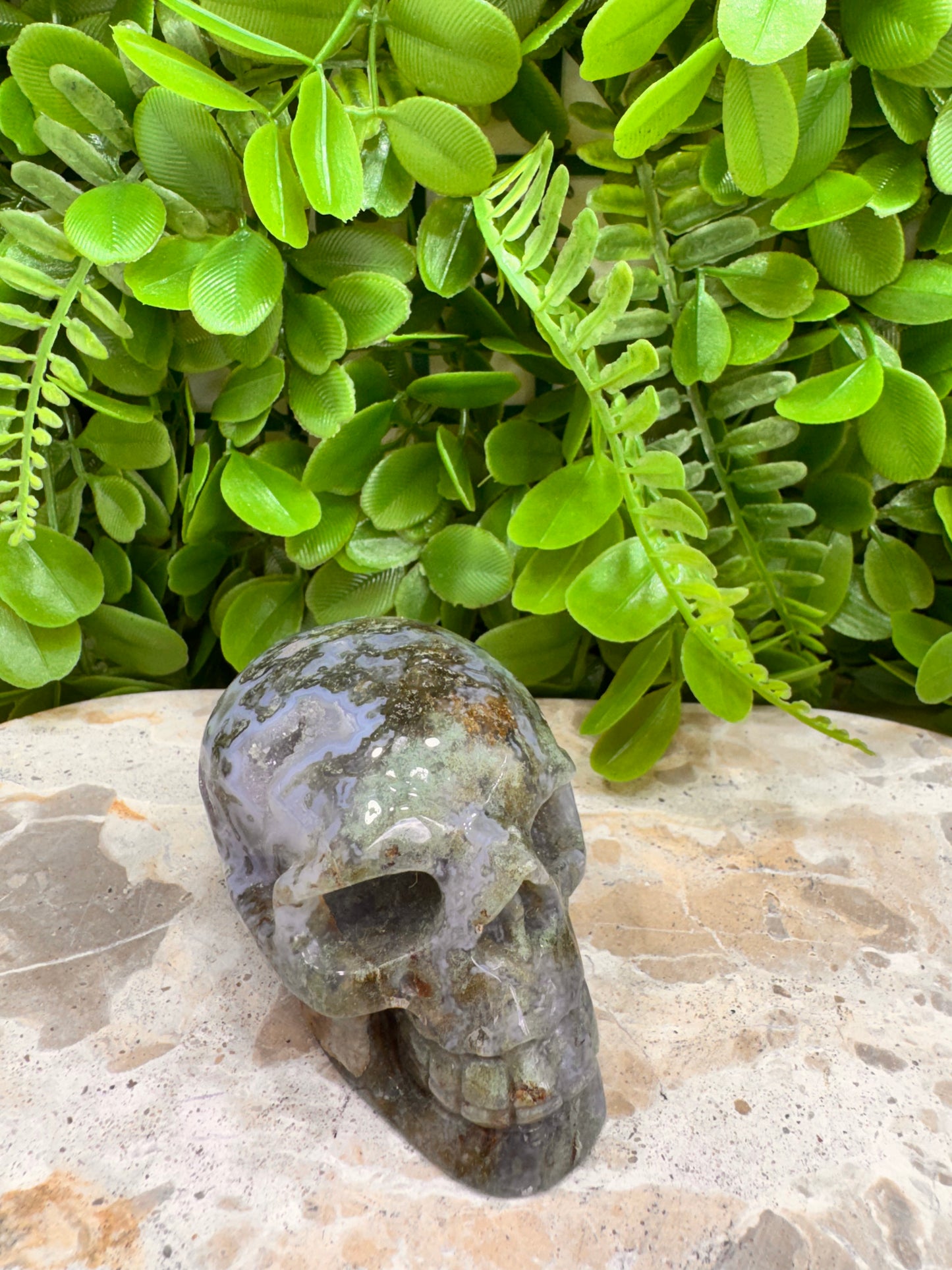 Moss Agate Druzy Skull 268g