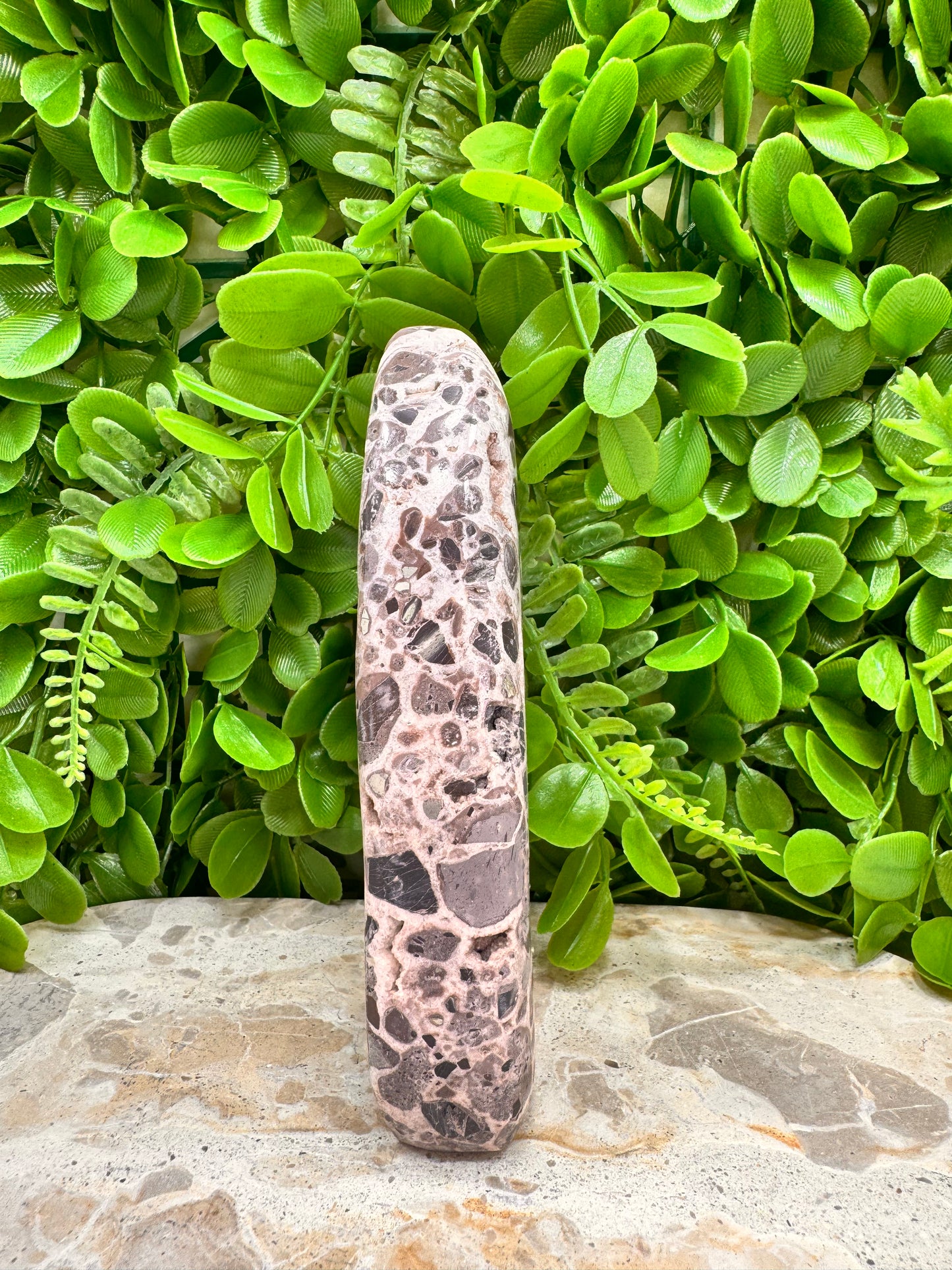 Chocolate Aragonite Freeform 508g