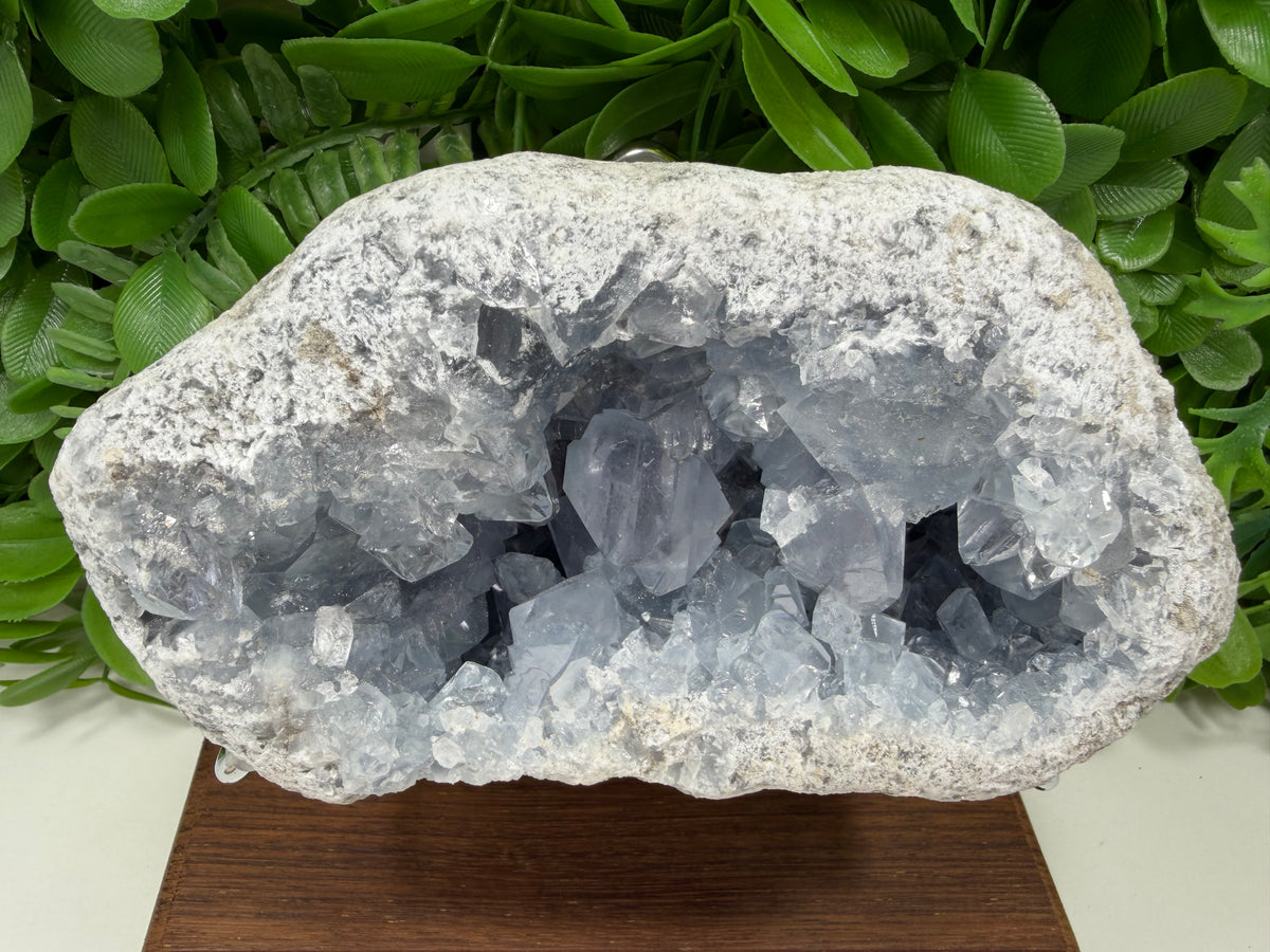 Blue Celestite Freeform | Tranquility • Communication • Peace