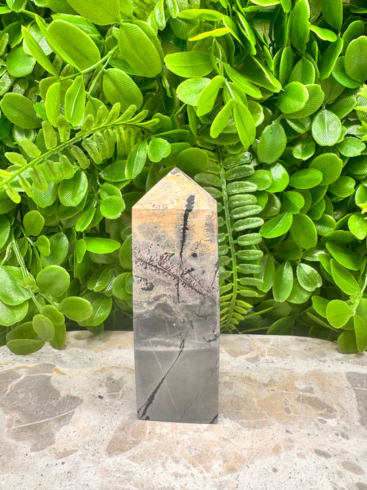 Picture Jasper Tower 214g