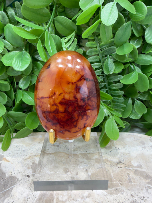 Carnelian Palm Stone 188g