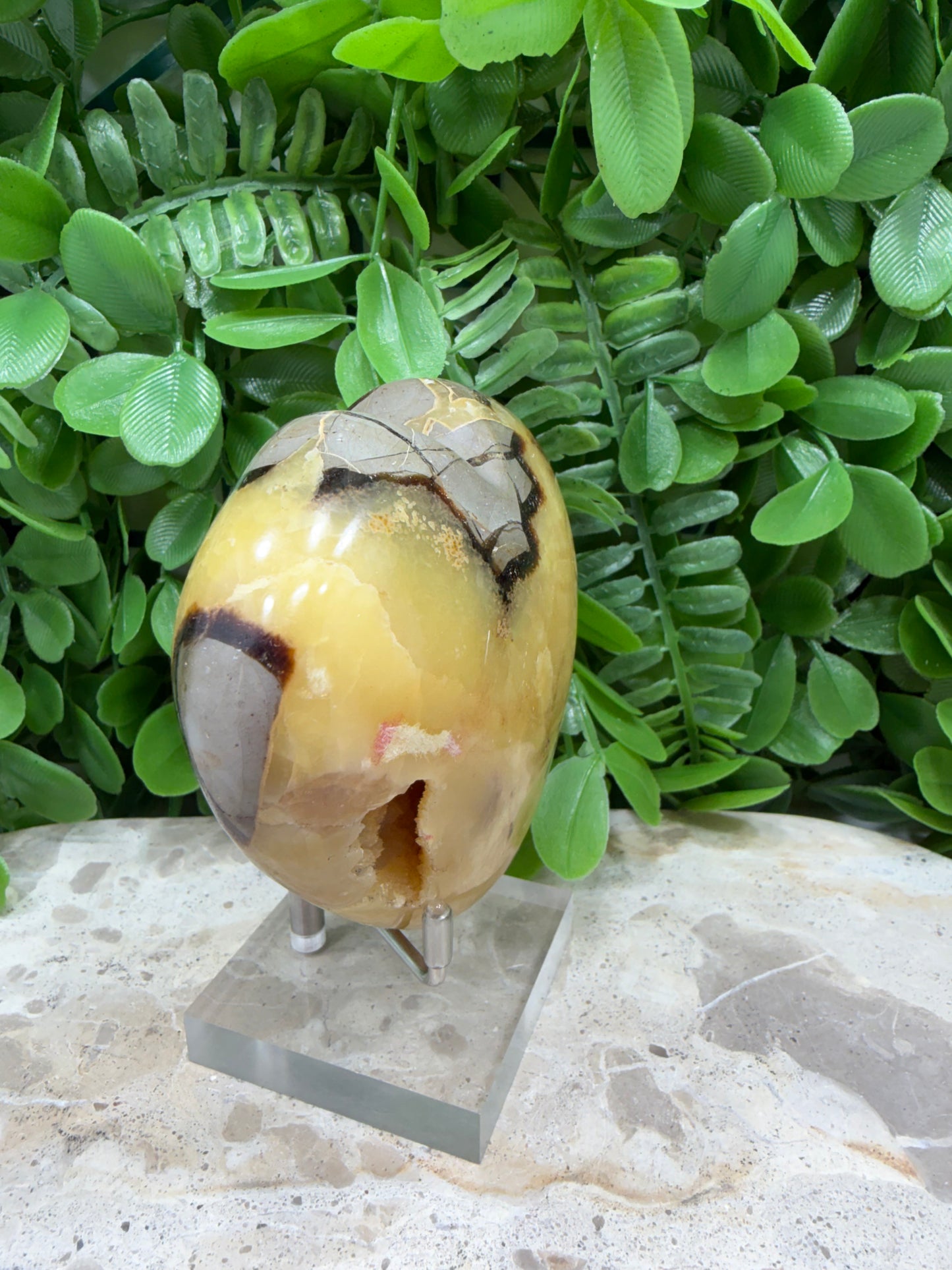 Septarian Dragon Stone 382g
