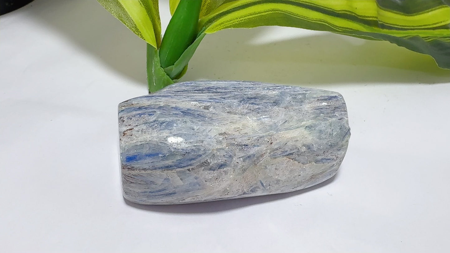 Kyanite Freeform 266g