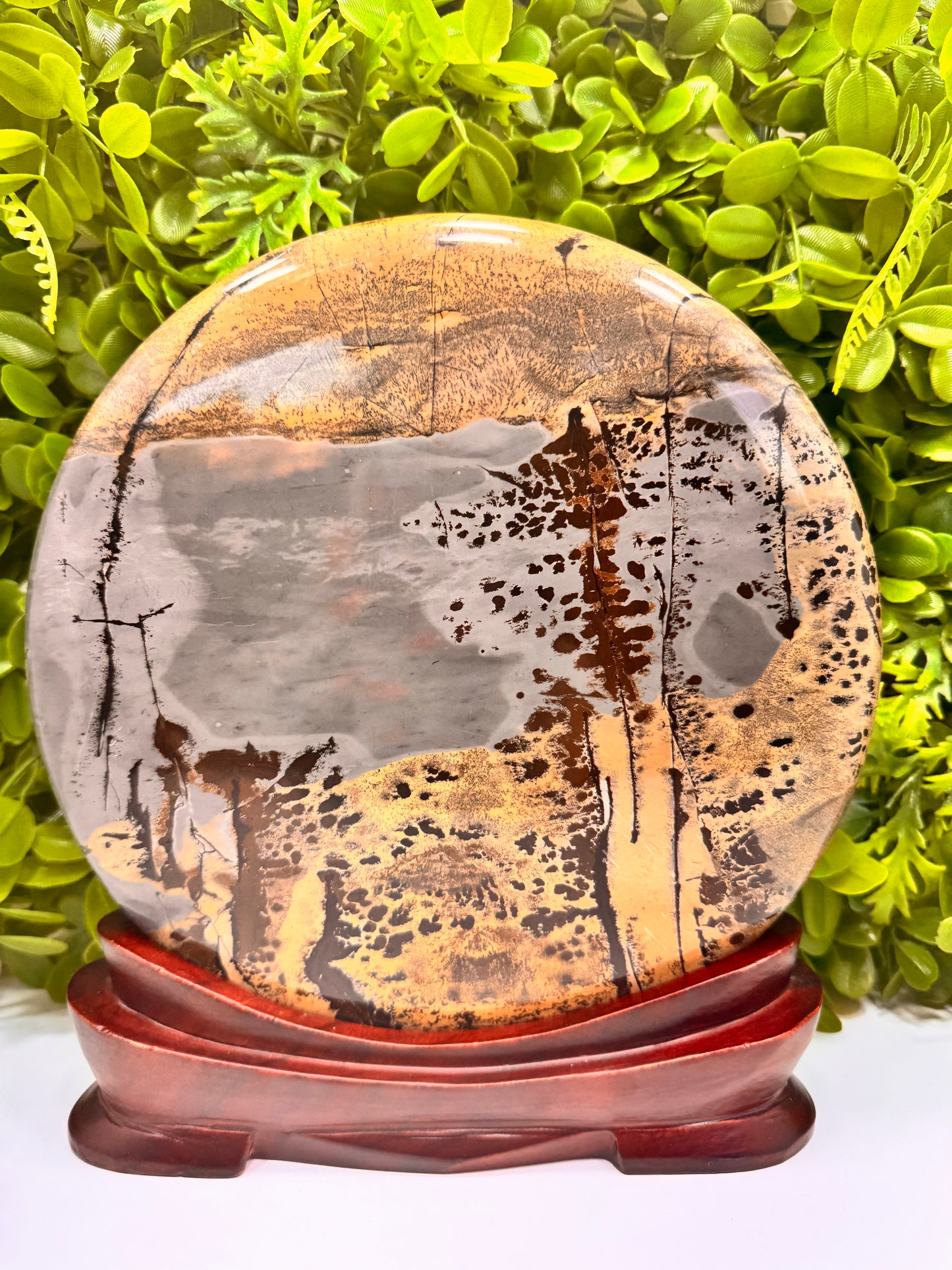 Picture Jasper in Frame 3452g