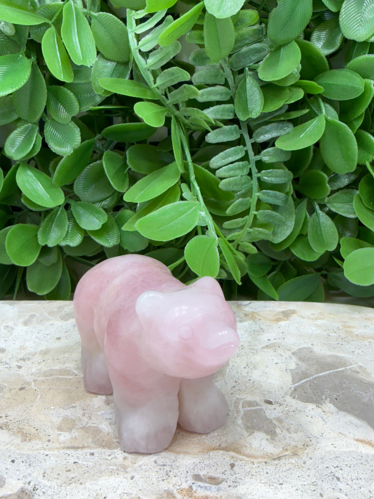 Rose Quartz Bear 180g | Love • Compassion • Healing