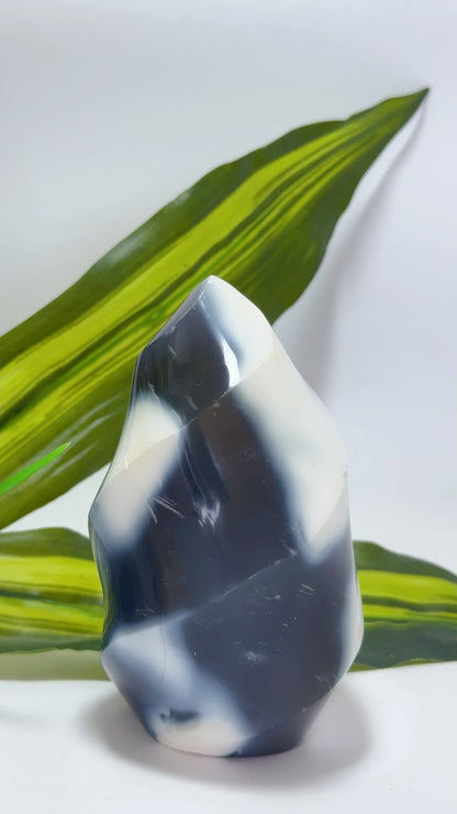 Orca Agate Flame 590g