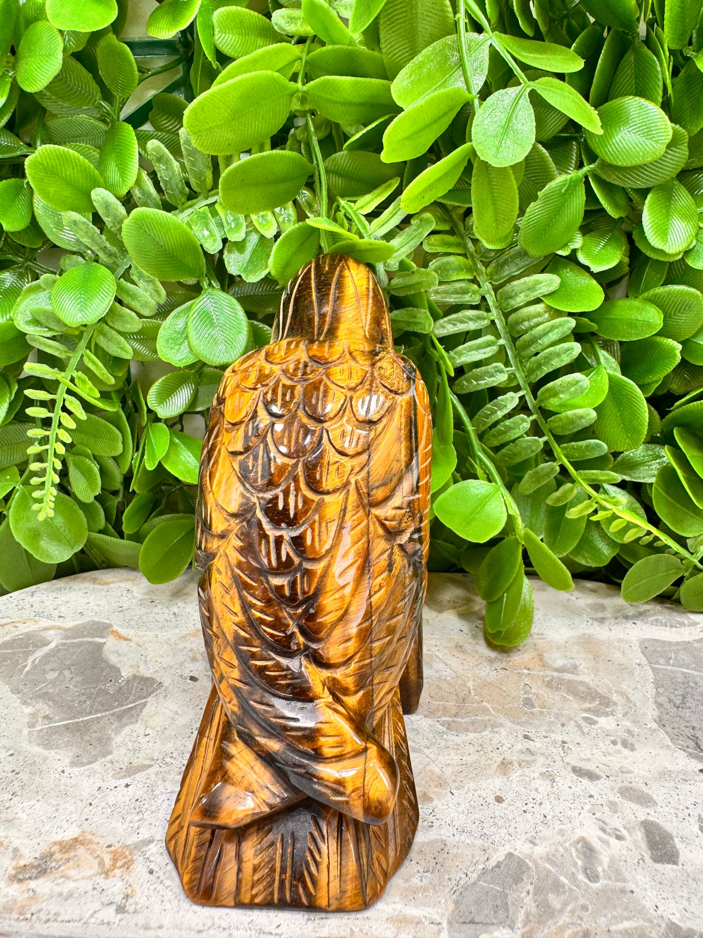 Tigers Eye Raven 746g