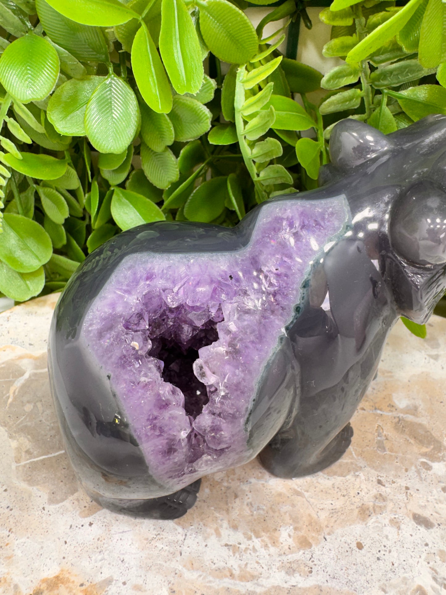 Amethyst Druzy Agate Bear 916g
