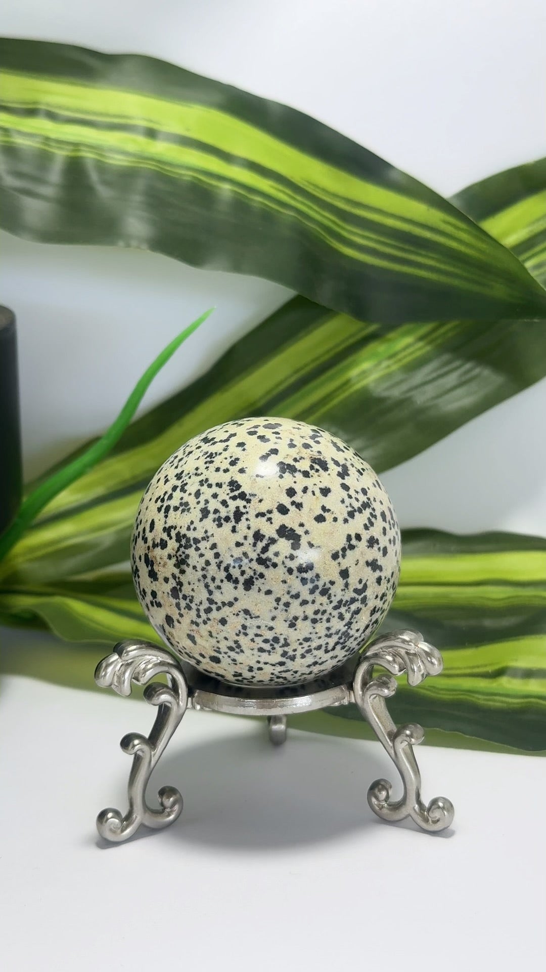 Dalmation Jasper Sphere 236g