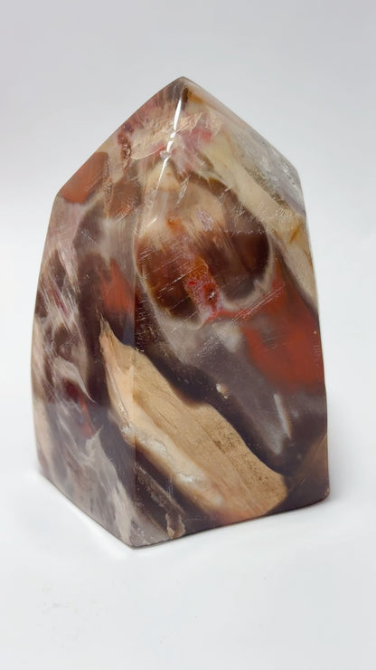 Petrified Wood tower 648G