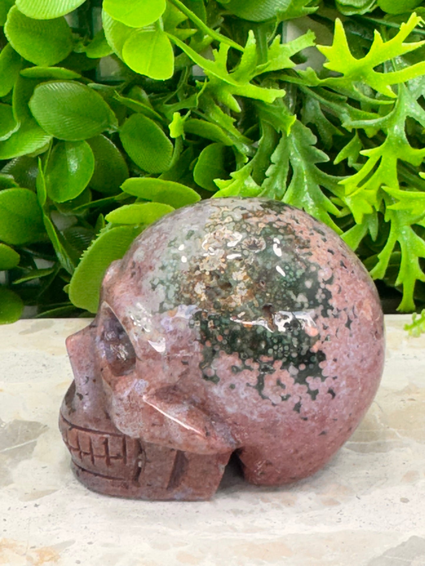 Ocean Jasper Skull 352g