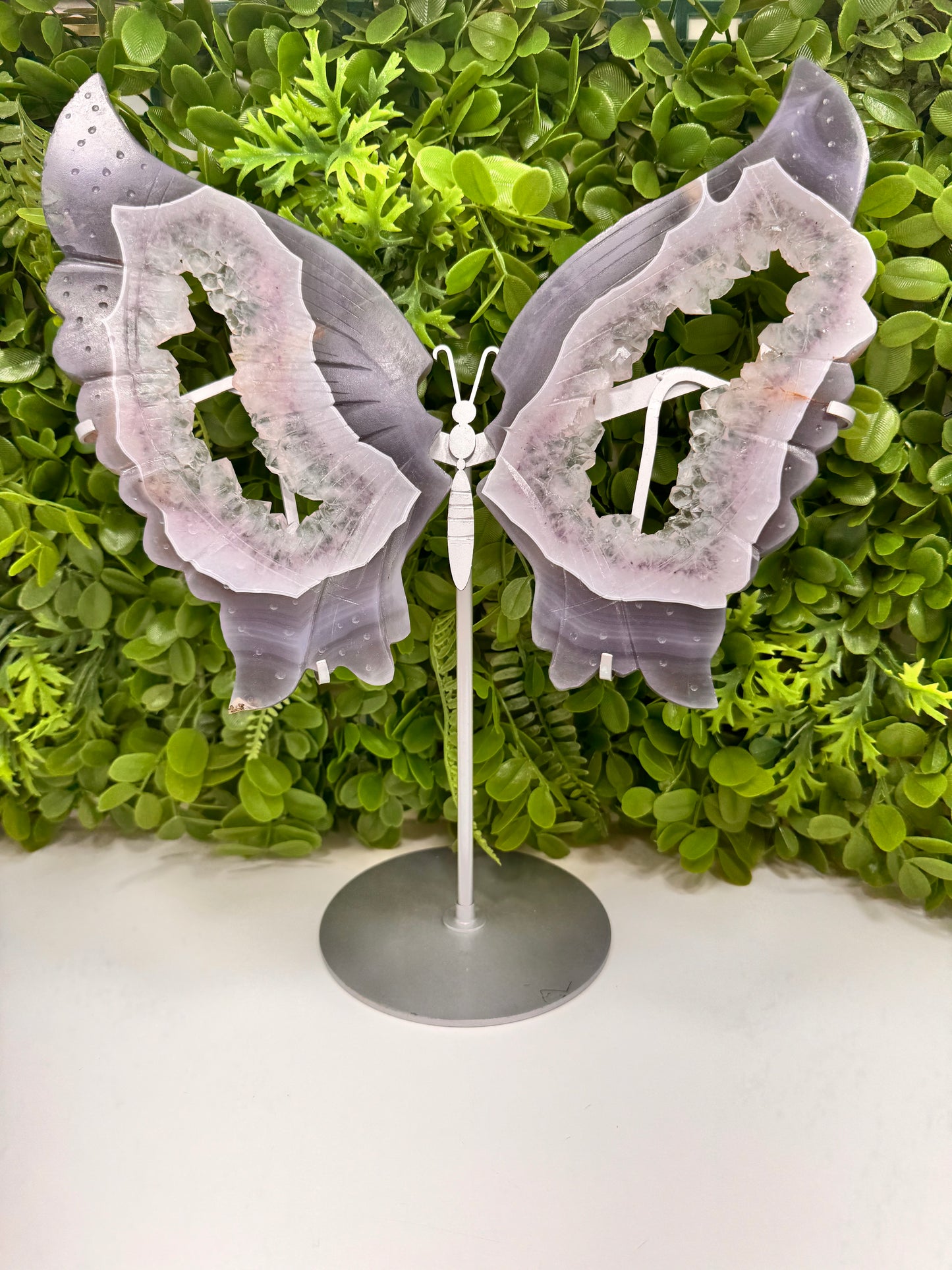 Amethyst Druzy Agate Butterfly Wings 1772g