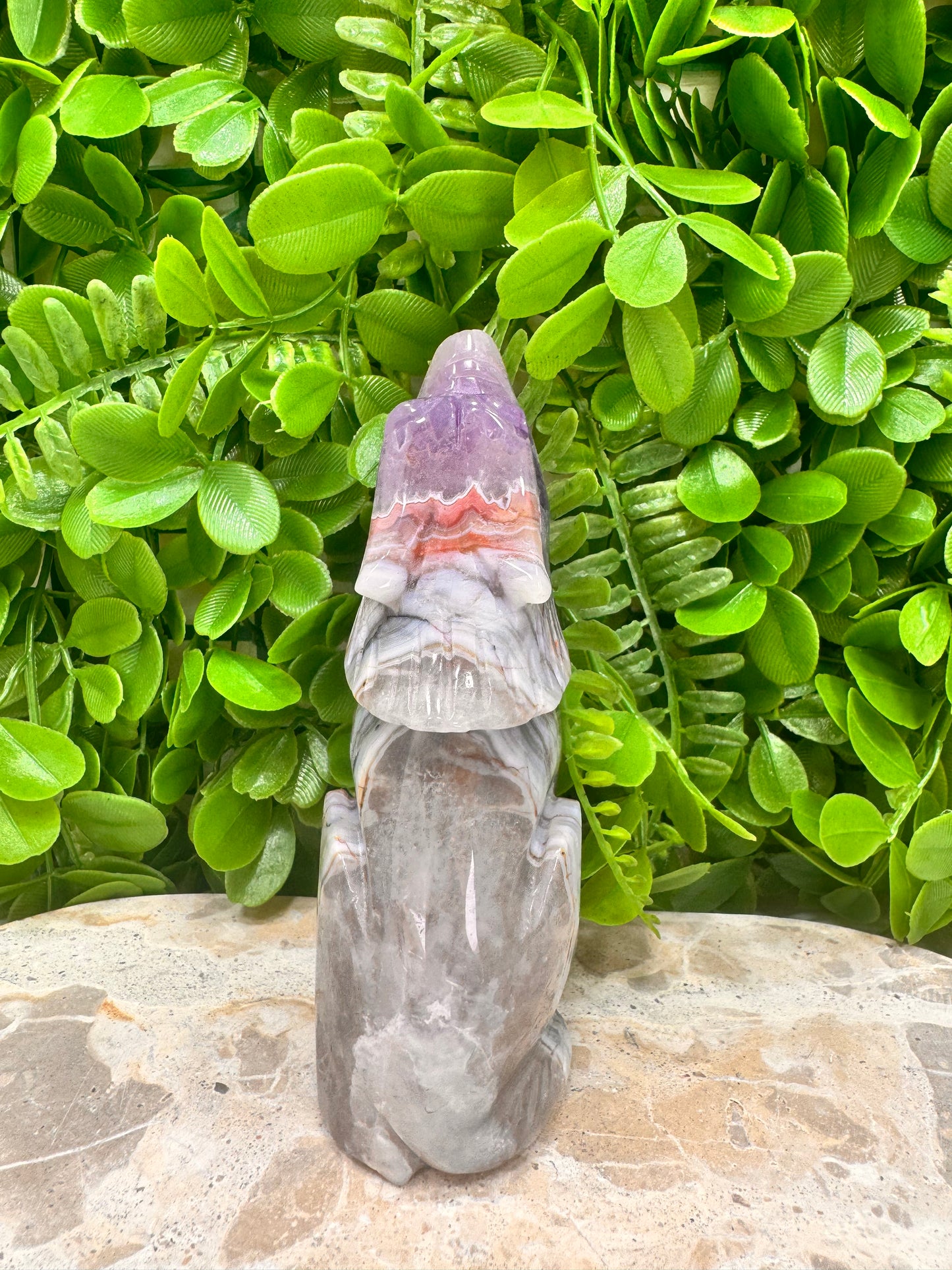 Amethyst Mexican Agate Wolf 498g