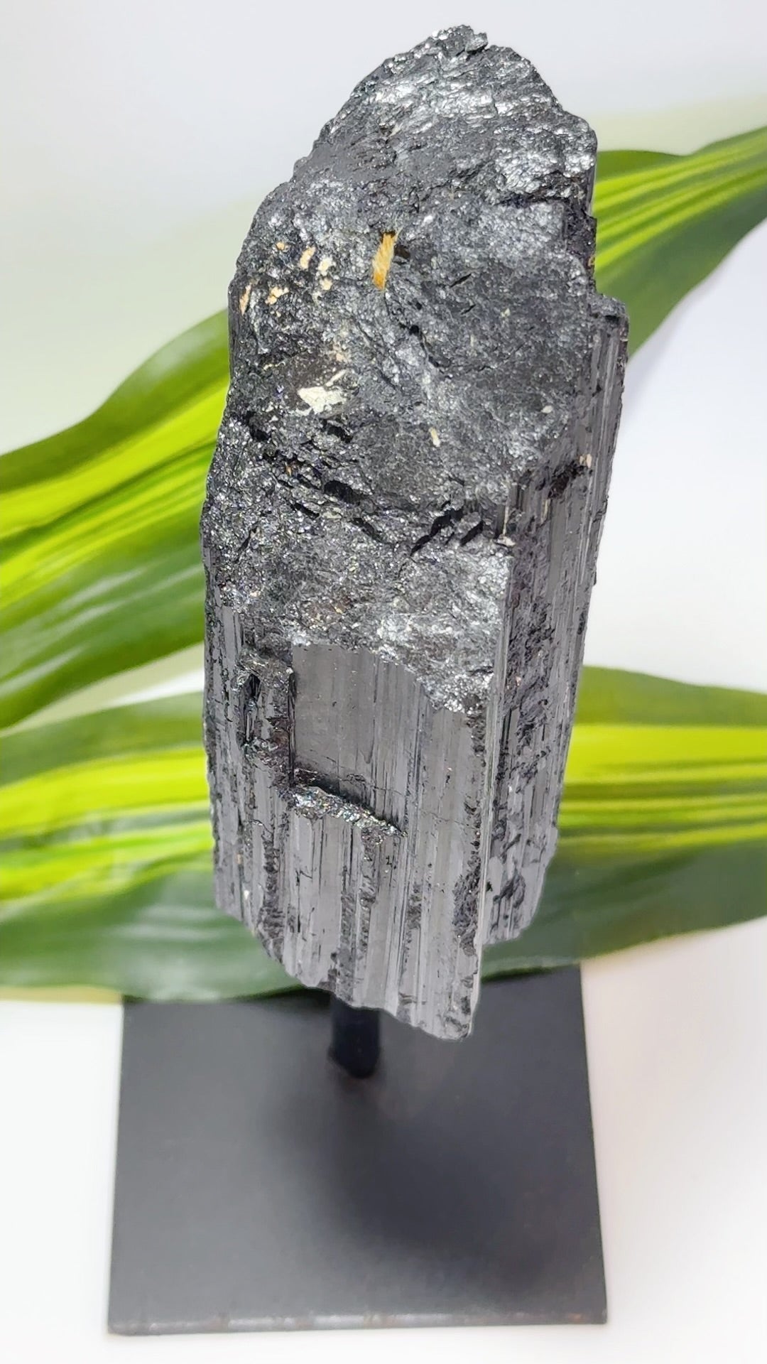 Tourmaline on Stand 1114g
