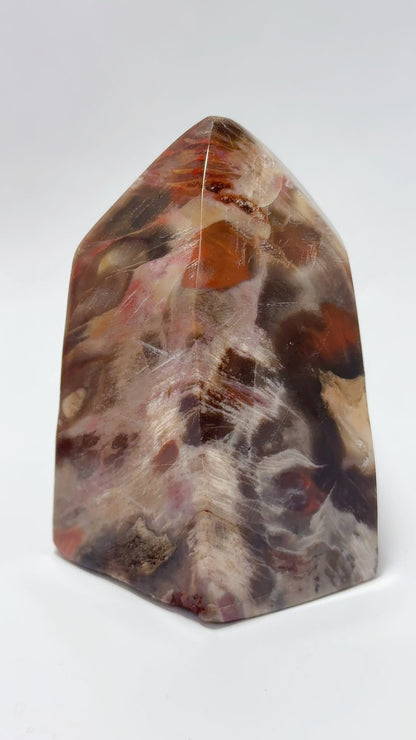 Petrified Wood tower 648G