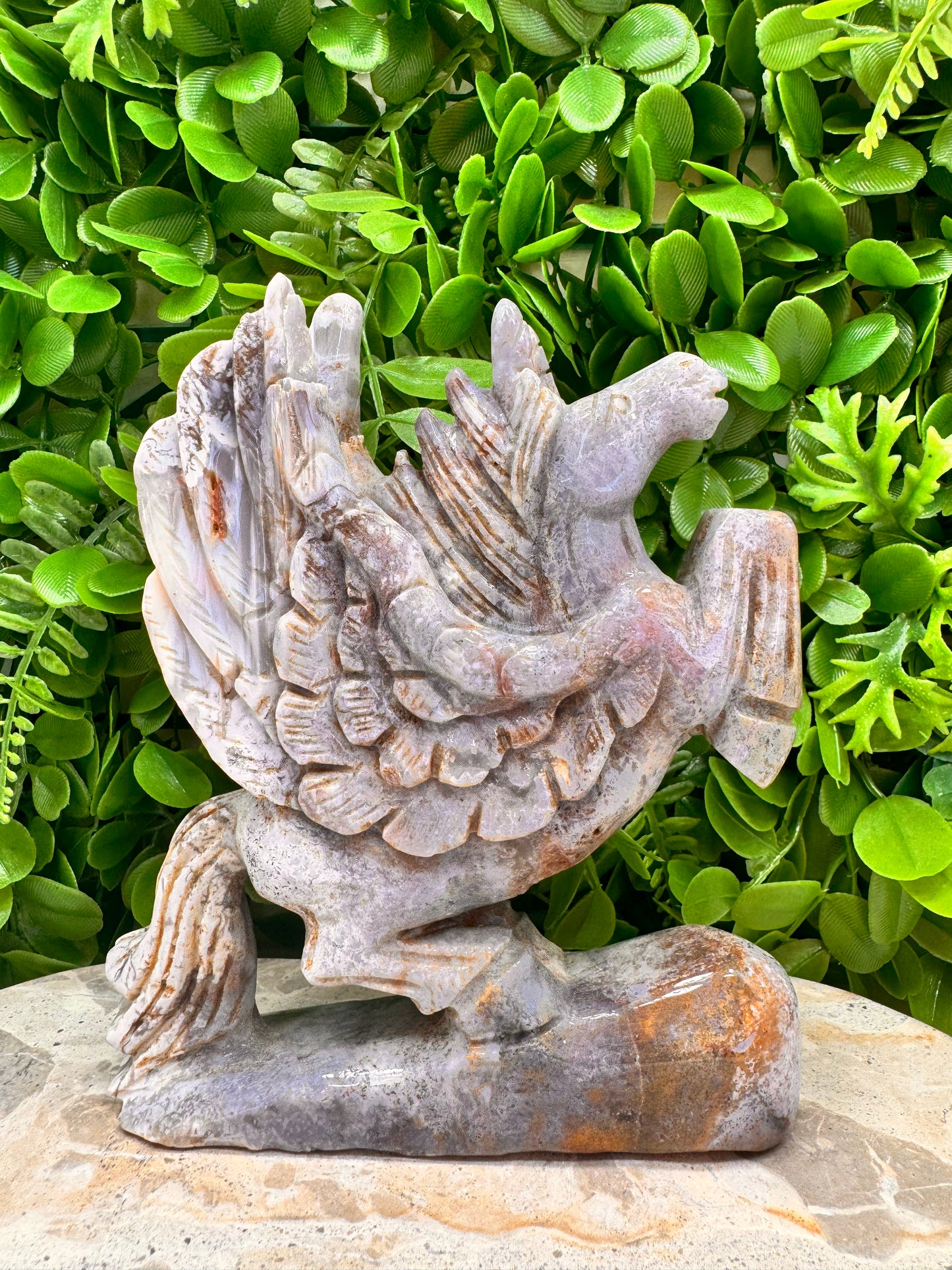 Ocean Jasper Pegasus 1012g