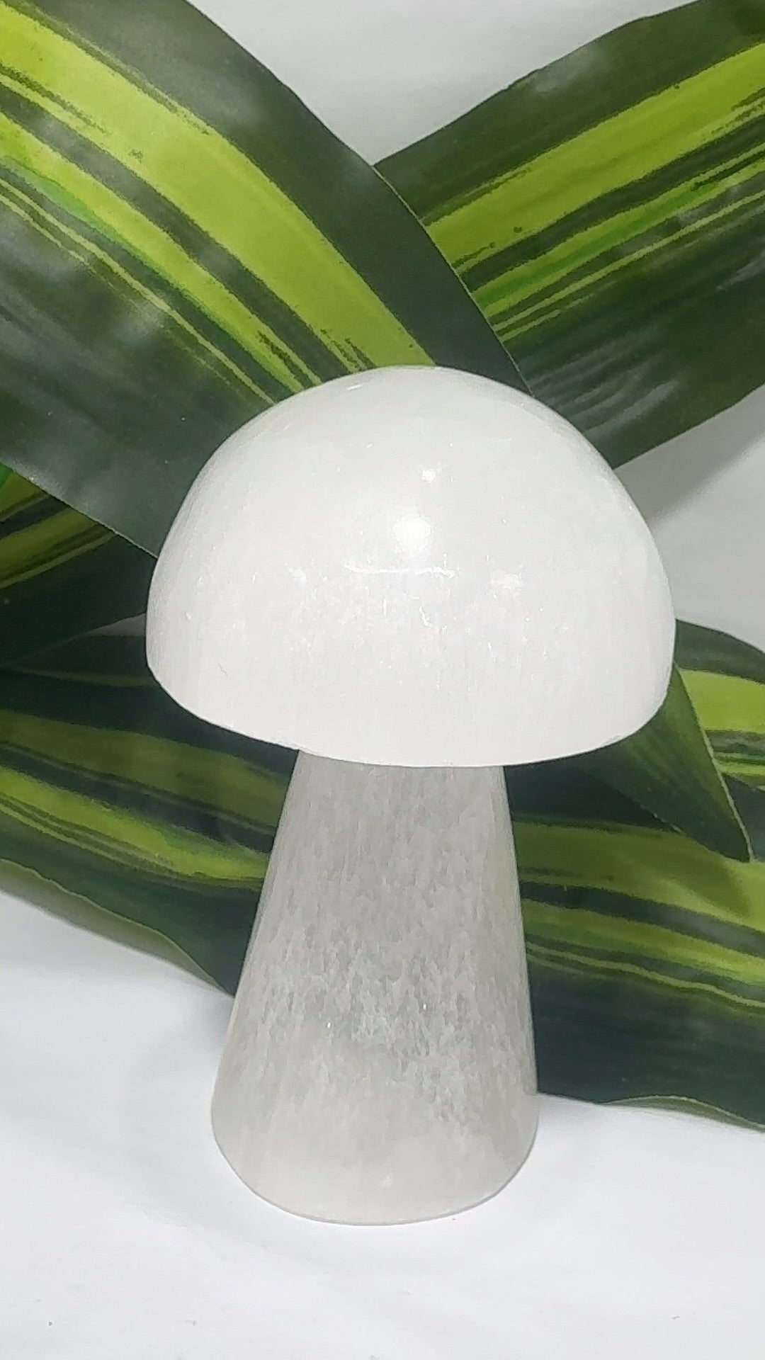 Selenite Mushrooms app 260g