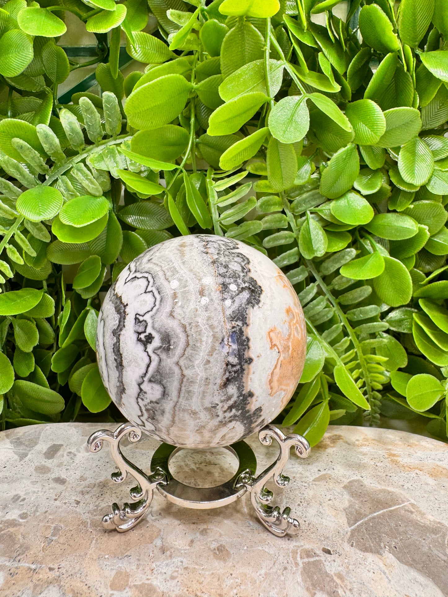 Dendritic Ocean Root Jasper Sphere 474g