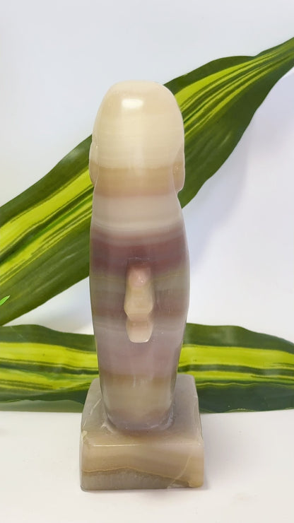 Pink Pistachio Seahorse 656g