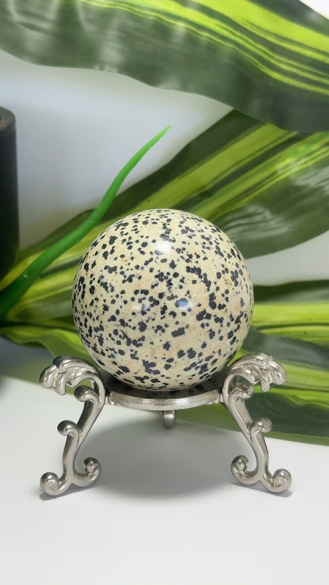 Dalmation Jasper Sphere 202g