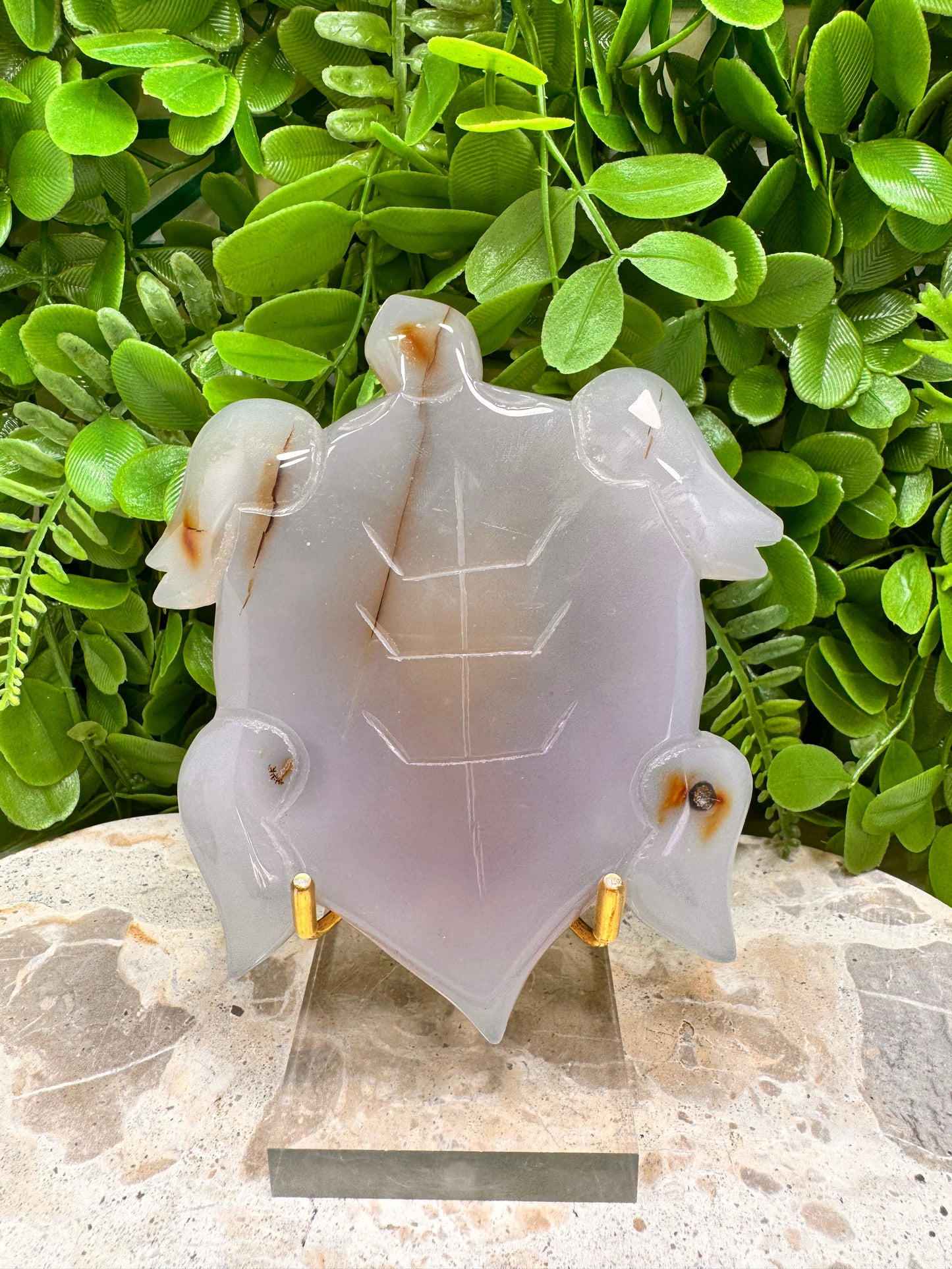 Druzy Agate Turtle 290g
