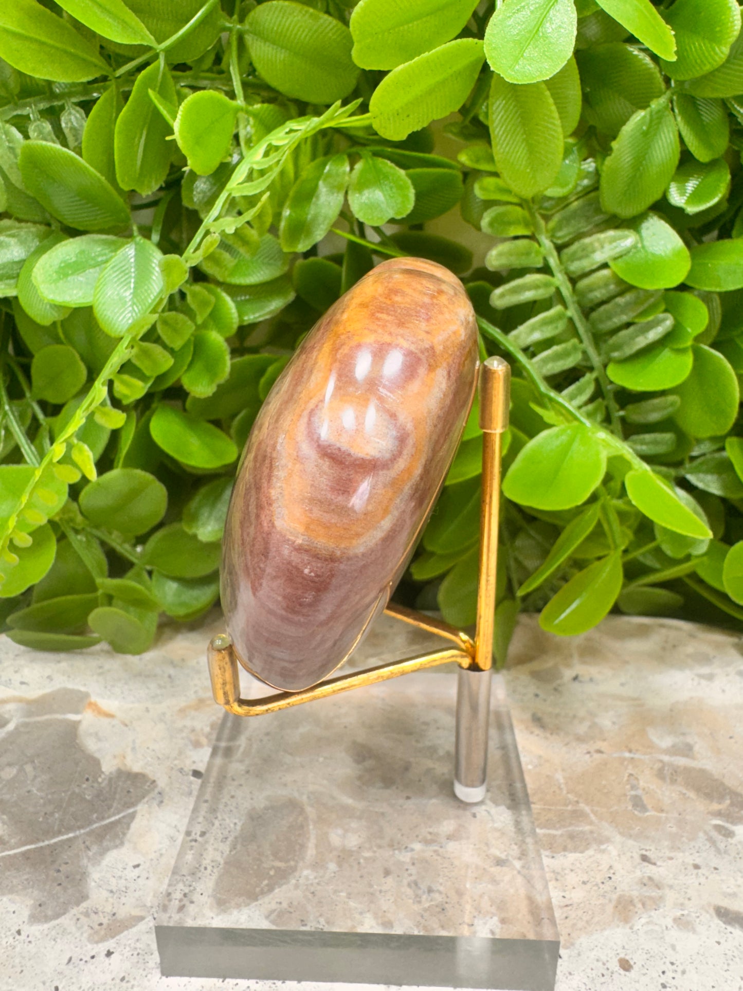 Petrified Wood Heart 266g