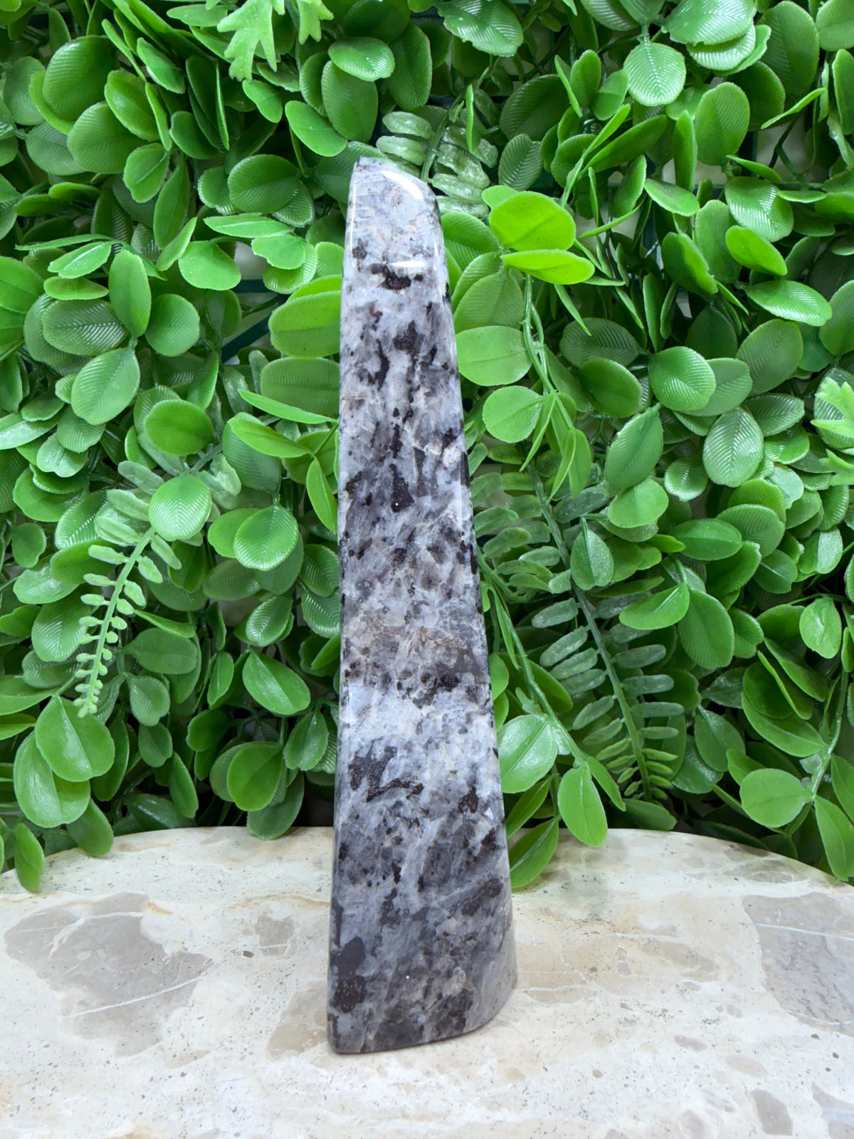 Larvikite Freeform | Grounding • Protection • Clarity