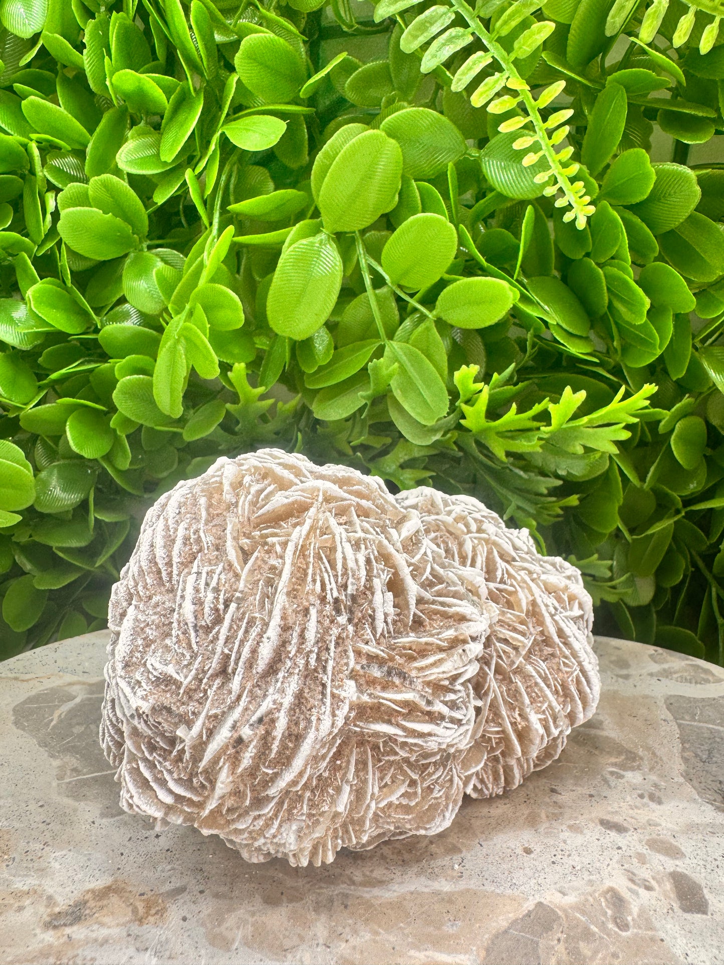 Desert Rose Selenite Cluster  1004g